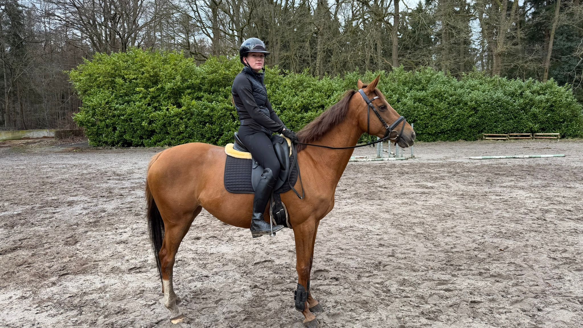 最高に美しい9歳の牝馬 Fleur