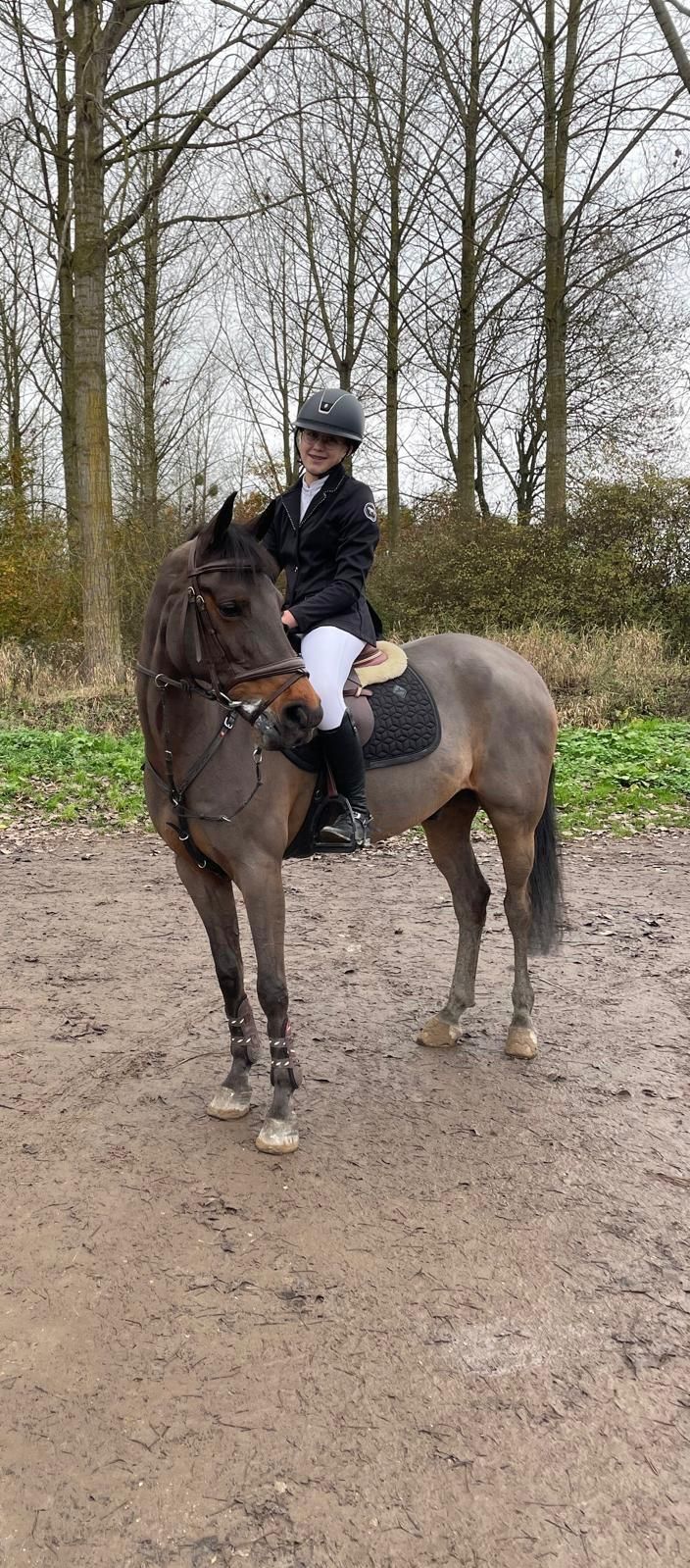 Superbrave allround sportpony