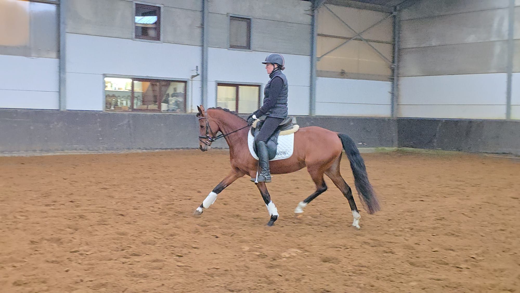 Pony Sportivo di Lusso (Luxe Sportpony)