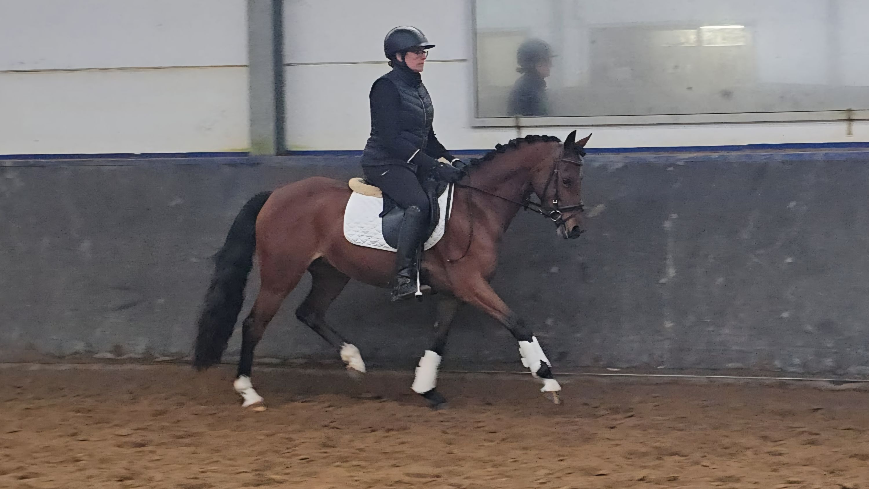 welsh dressuurpony merrie 5 años bruin en venta - Foto 3