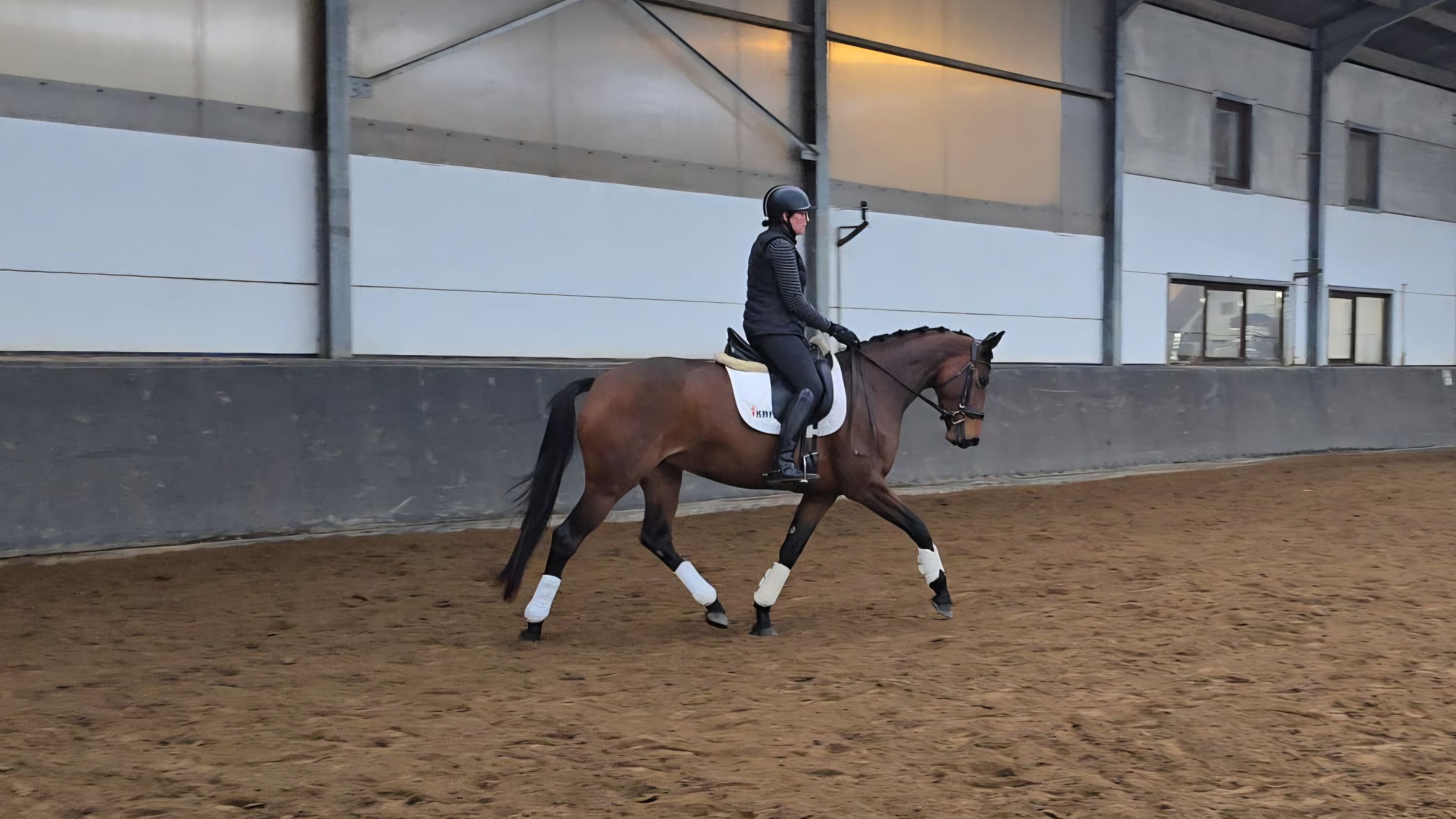 kwpn dressuurpaard merrie 5 años en venta - Foto 4