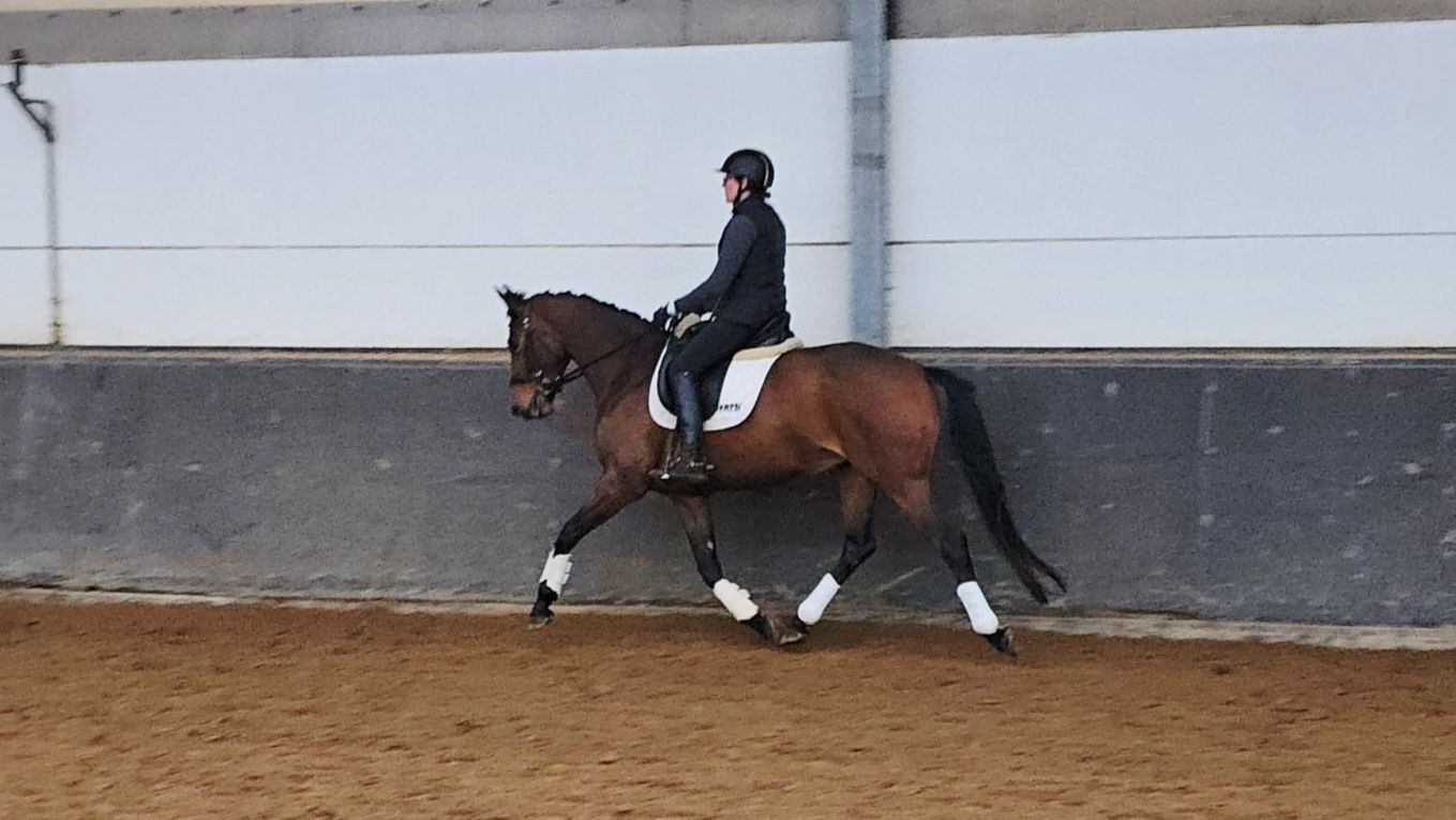 kwpn dressuurpaard merrie 5 años en venta - Foto 3