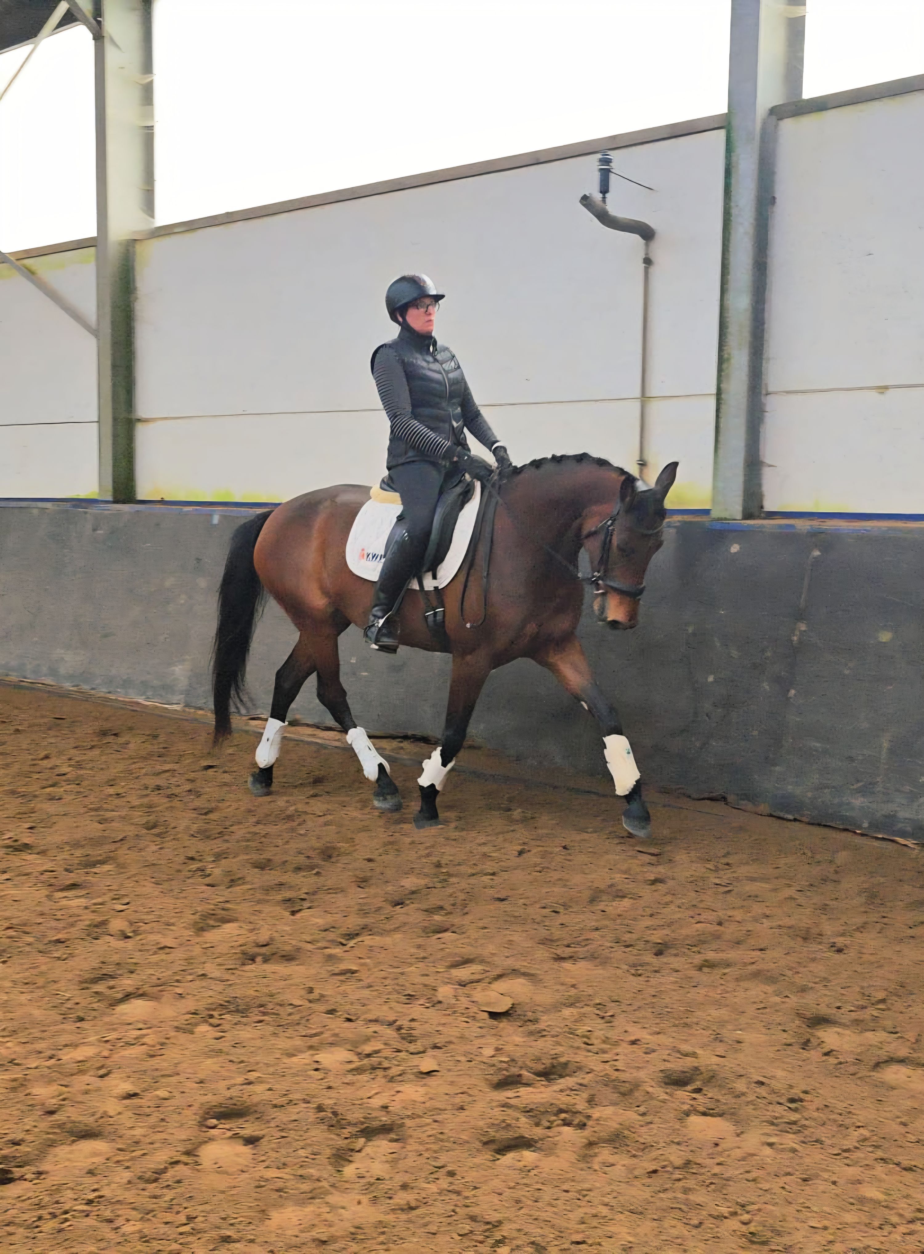 kwpn dressuurpaard merrie 5 años en venta - Foto 2