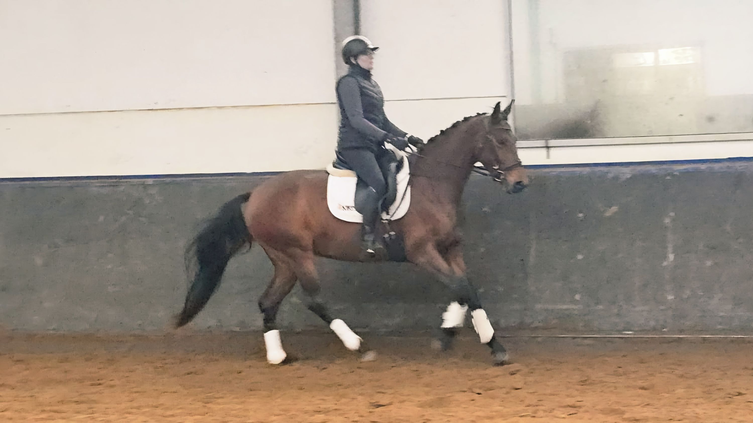 kwpn dressuurpaard merrie 5 años en venta - Foto 5