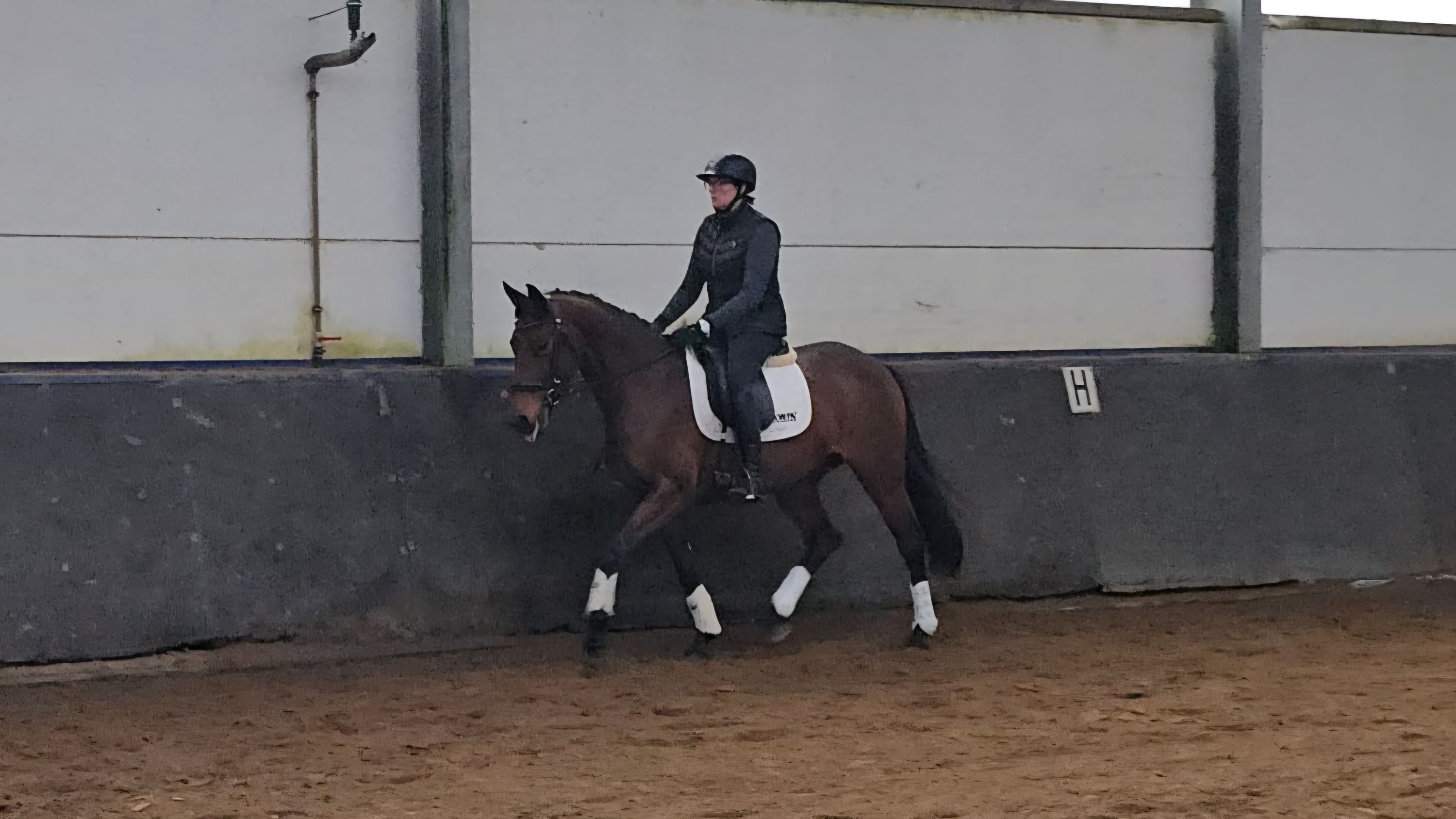 kwpn dressuurpaard merrie 5 años en venta - Foto 6