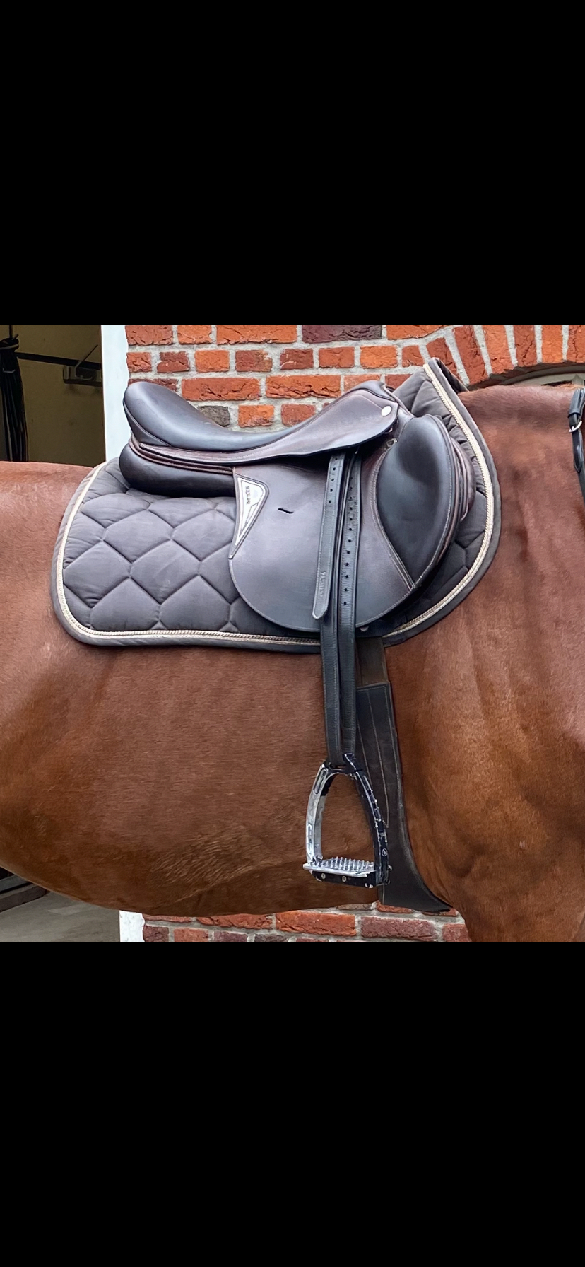NEW Equiline jumping saddle - Photo 3