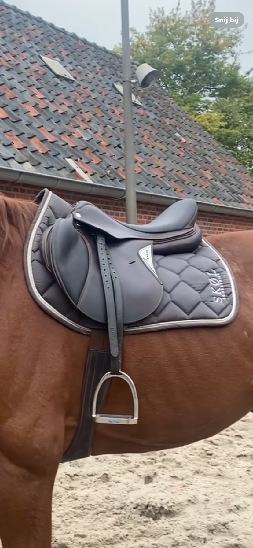 Cheval coton matelassé saut SELLE ANGLAISE contour gel chasseur vert 72F24
