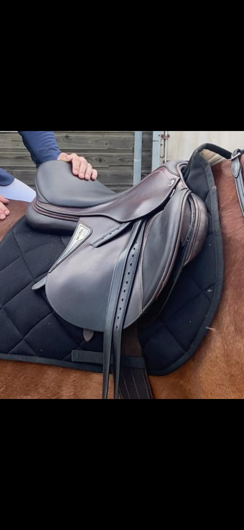 NEW Equiline jumping saddle - Photo 4