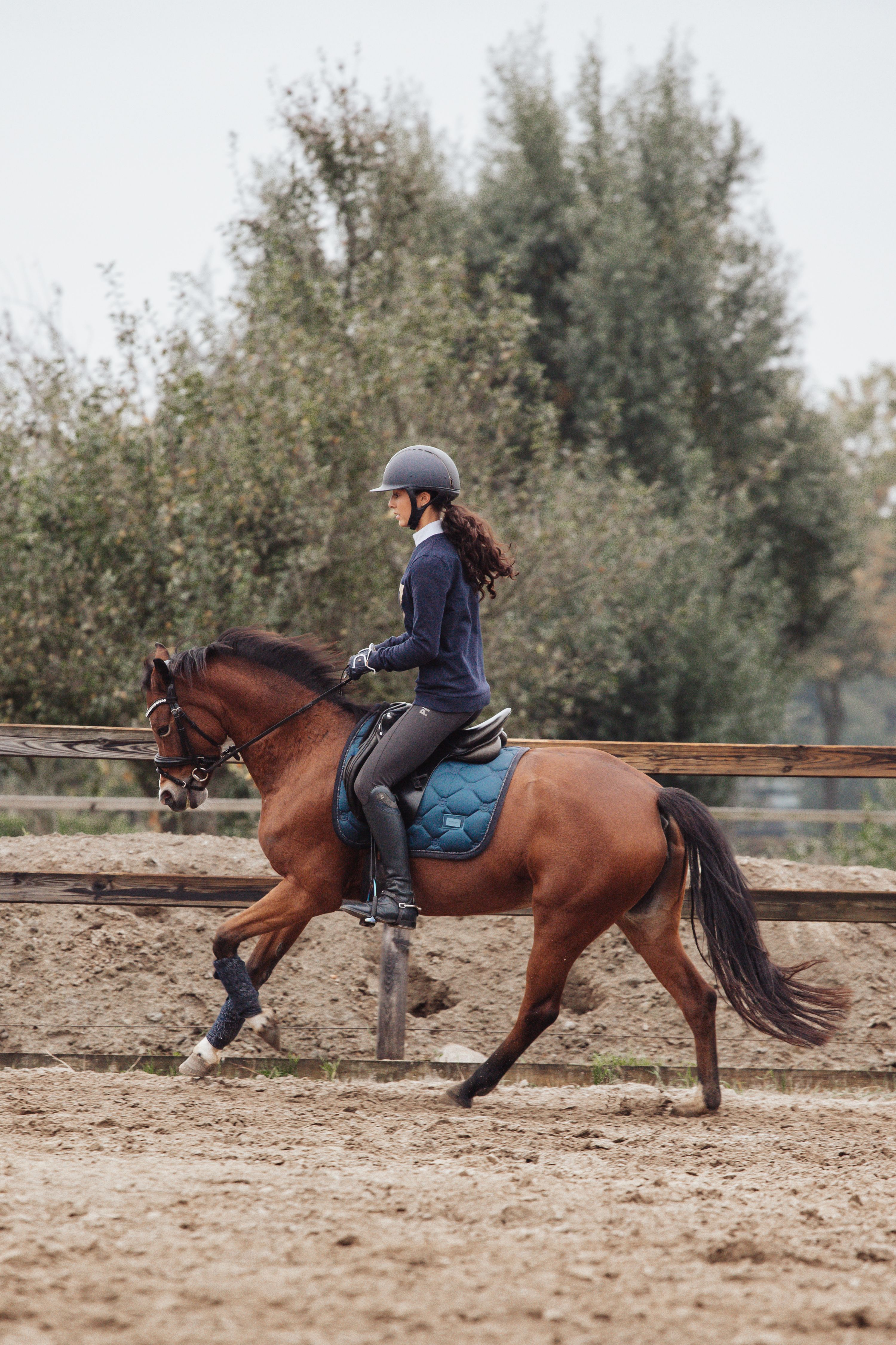 welsh allround-pony merrie 9 lat kastanje na sprzedaż - Zdjęcie 2