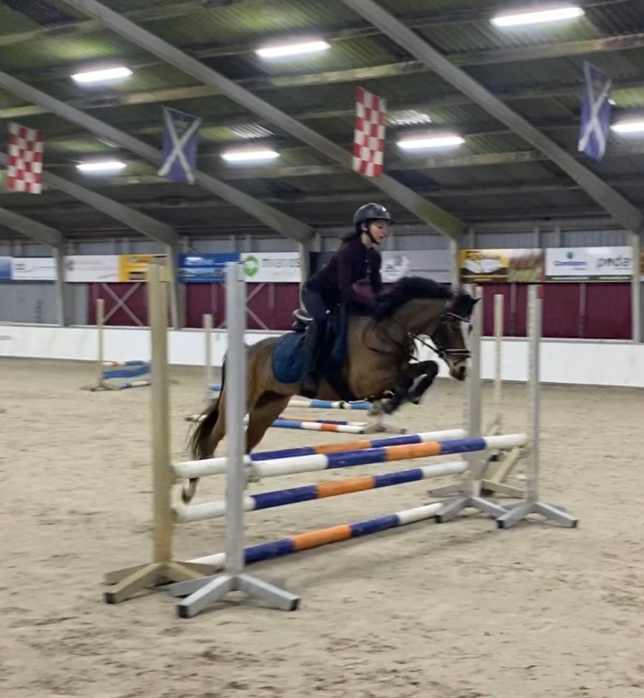 welsh allround-pony merrie 9 lat kastanje na sprzedaż - Zdjęcie 6