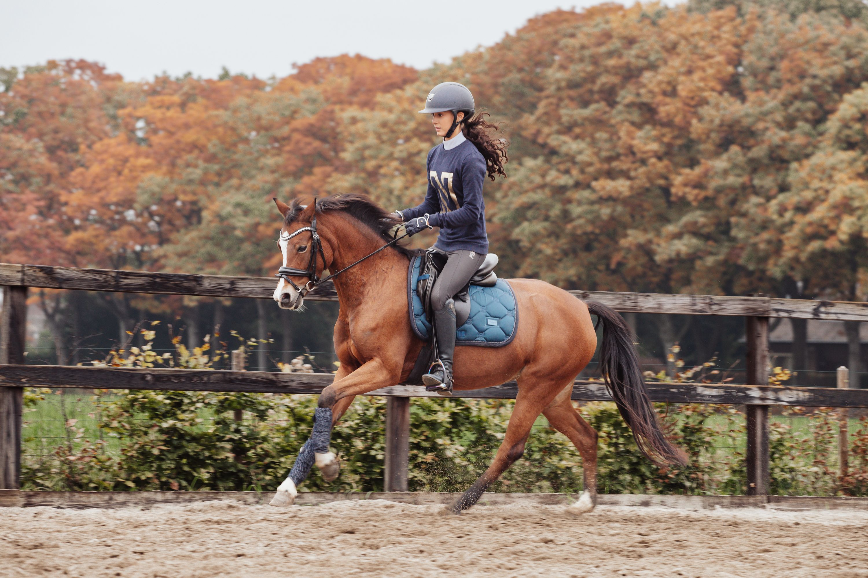 welsh allround-pony merrie 9 lat kastanje na sprzedaż - Zdjęcie 3