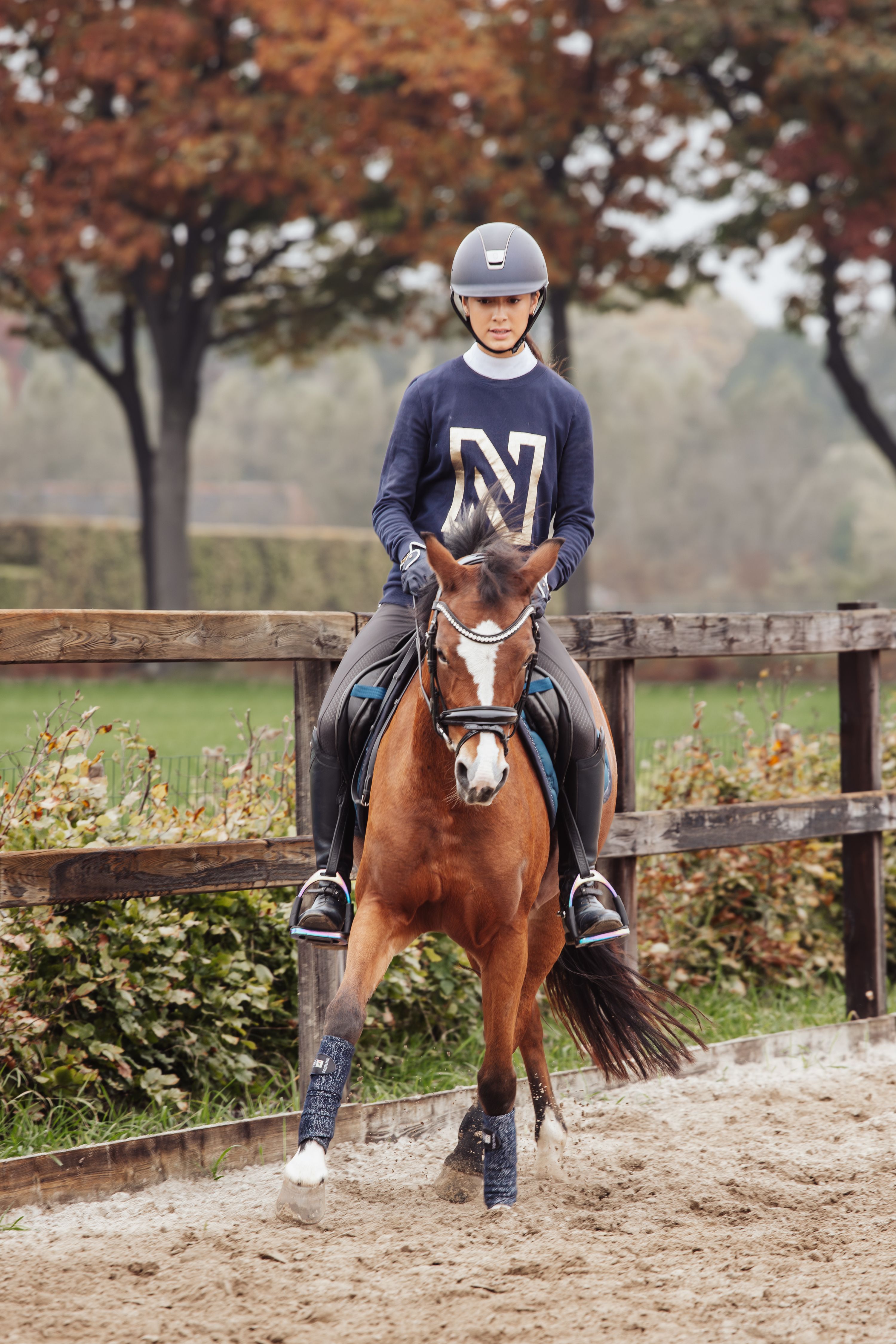 welsh allround-pony merrie 9 lat kastanje na sprzedaż - Zdjęcie 4