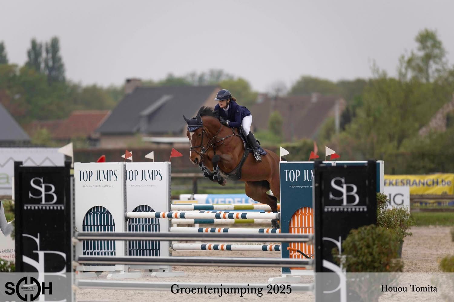kwpn springpaard merrie 12 Jahre alt bruin zu verkaufen - Foto 2