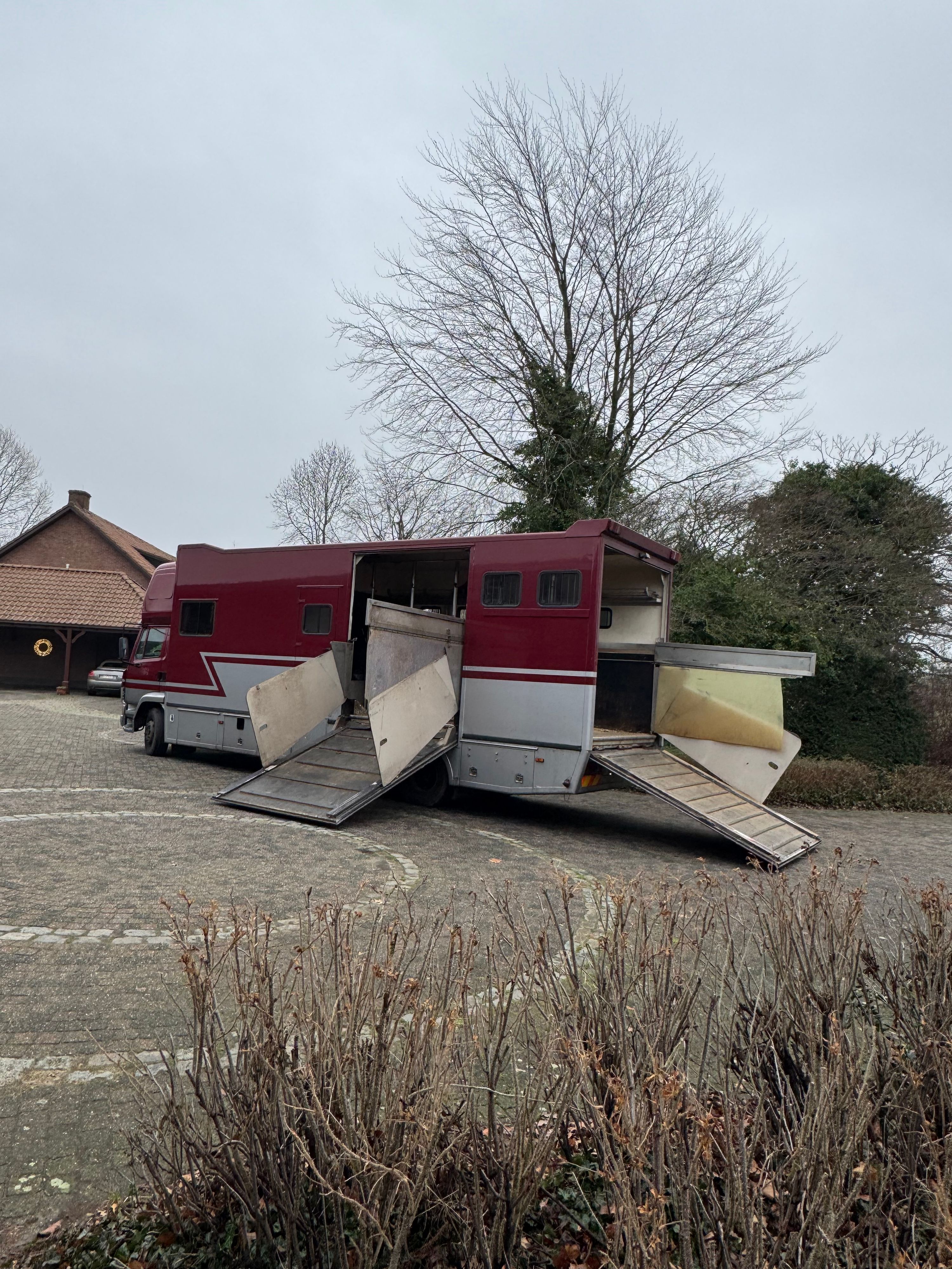 HORSE TRUCK FOR 5 HORSES - Photo 2