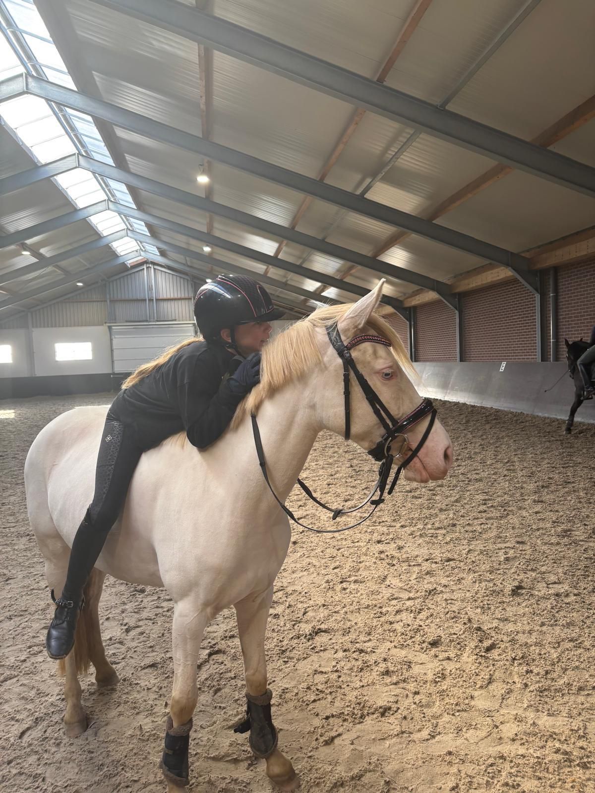 bwp allround-pony merrie 5 years old andere-kleur for sale - Photo 4