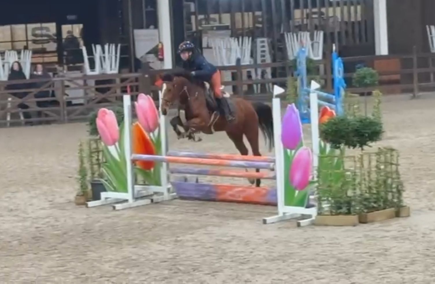 最高な障害馬（ポニー）！