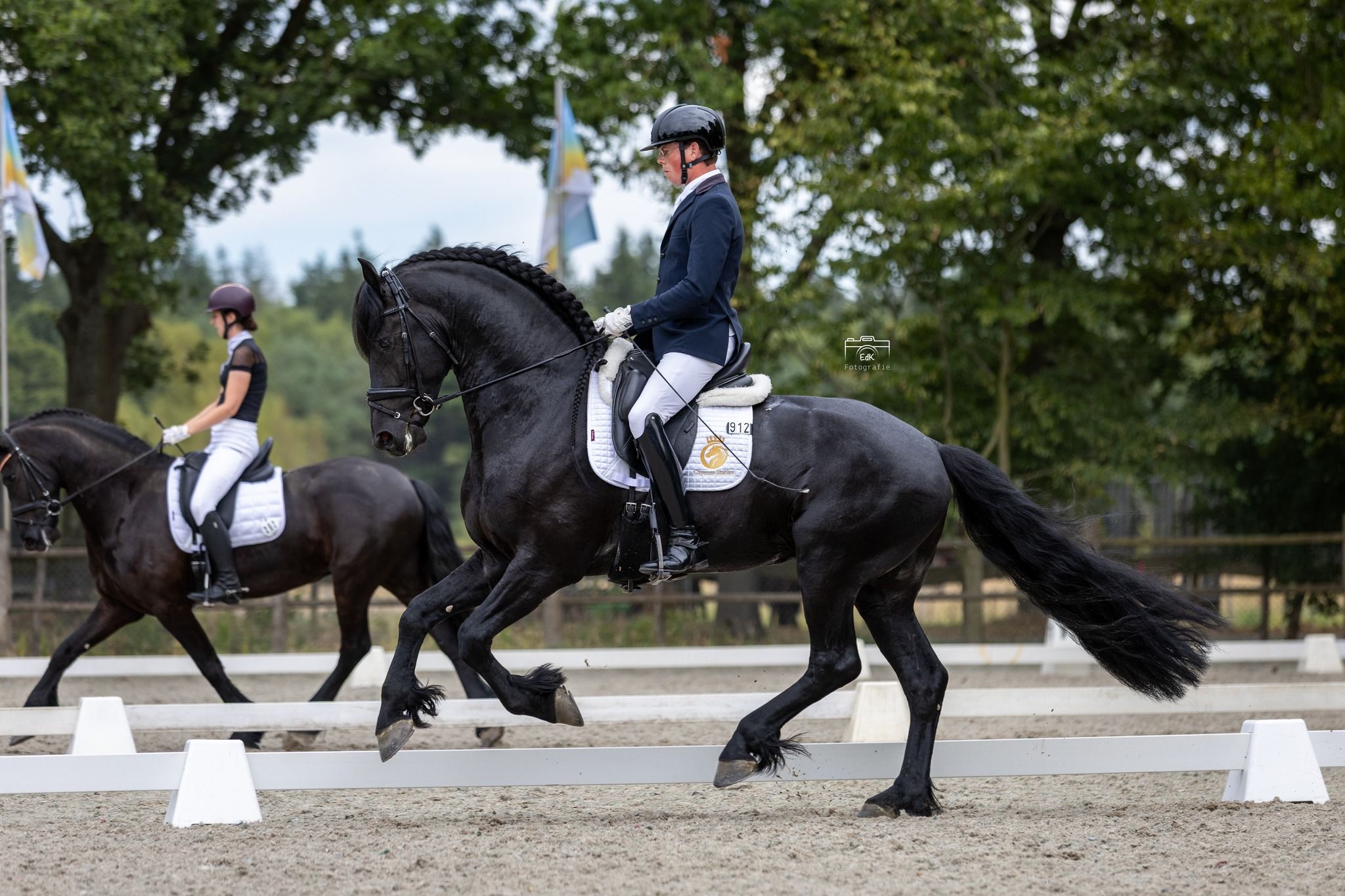 dressuurpaard ruin 7 jaar zwart te koop - Foto 2