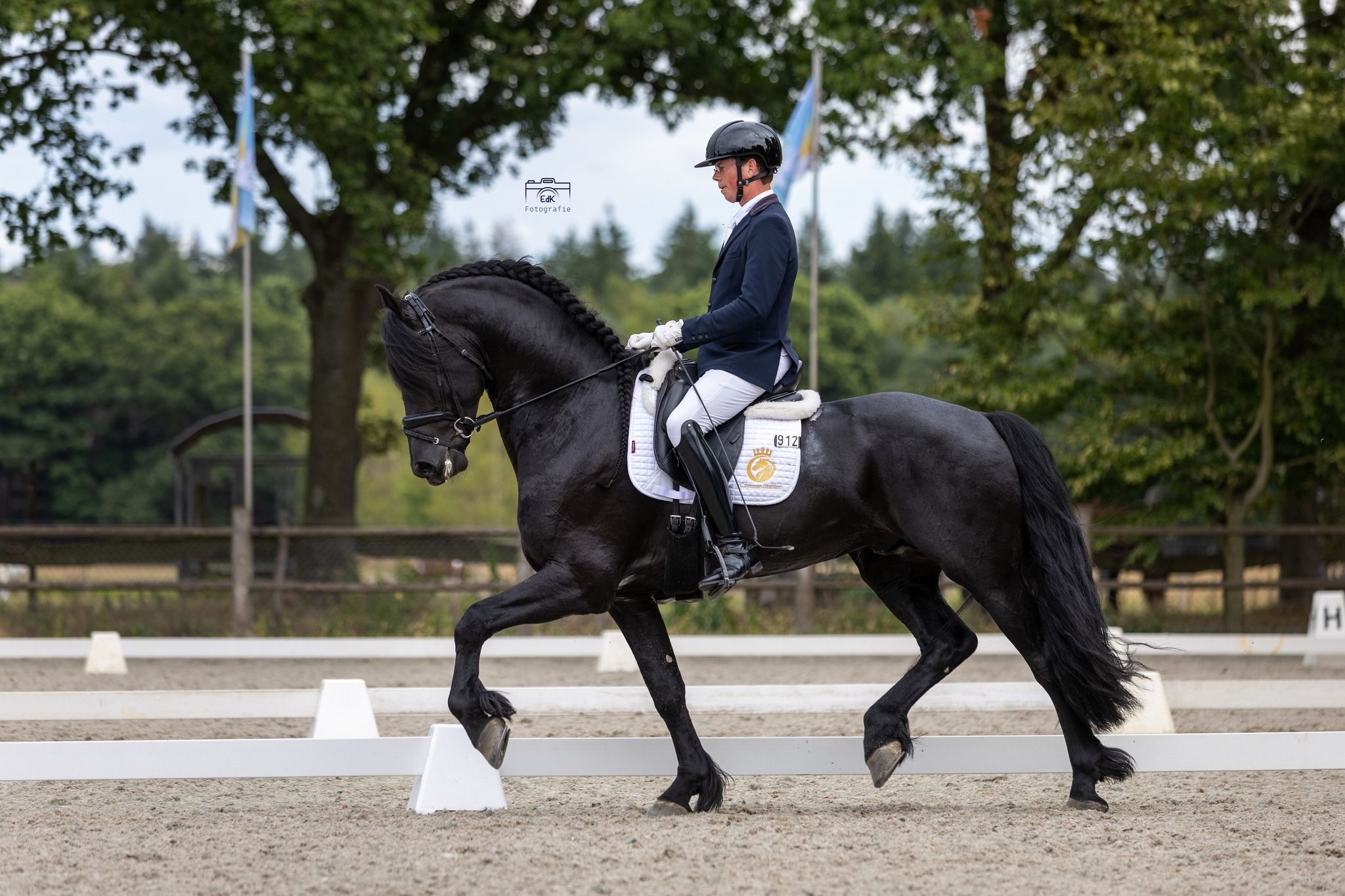 dressuurpaard ruin 7 jaar zwart te koop - Foto 3