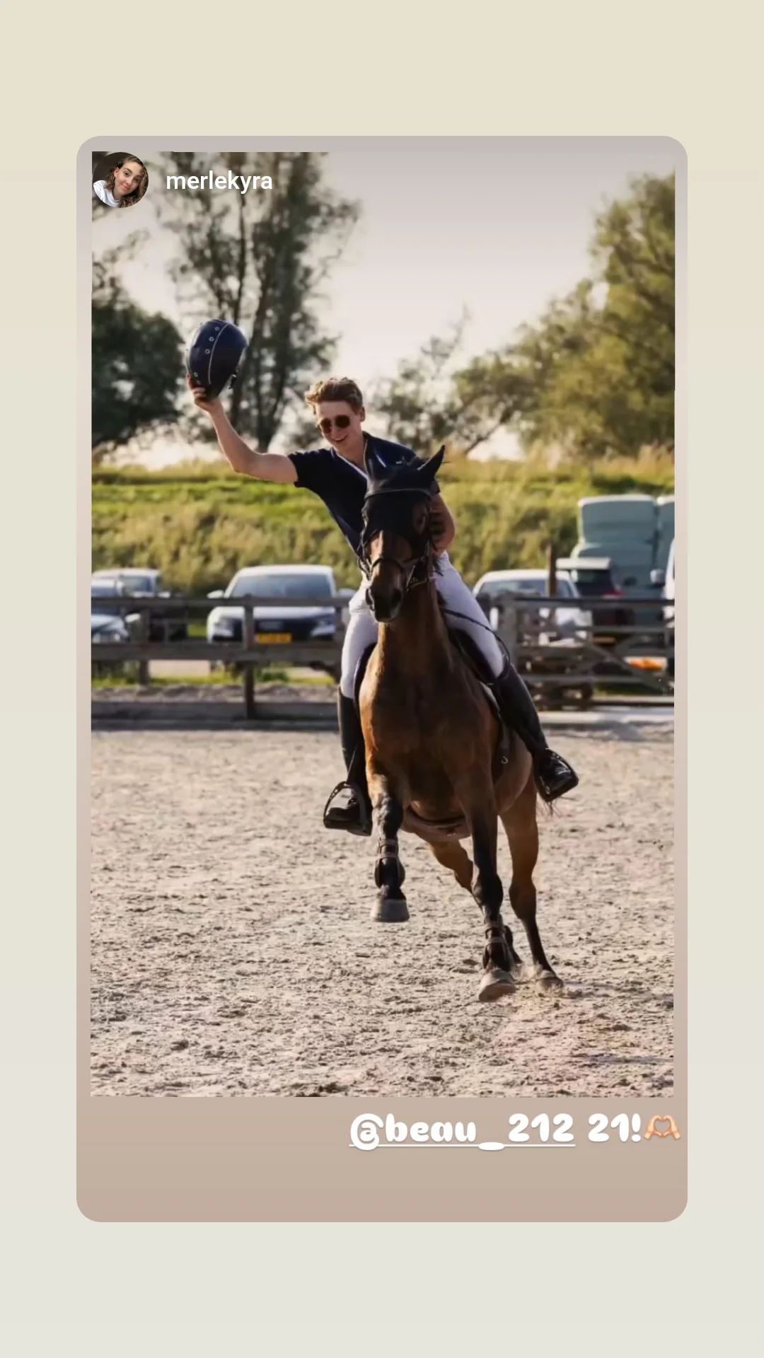 kwpn springpaard ruin 14 ani donkerbruin de vânzare - Foto 2