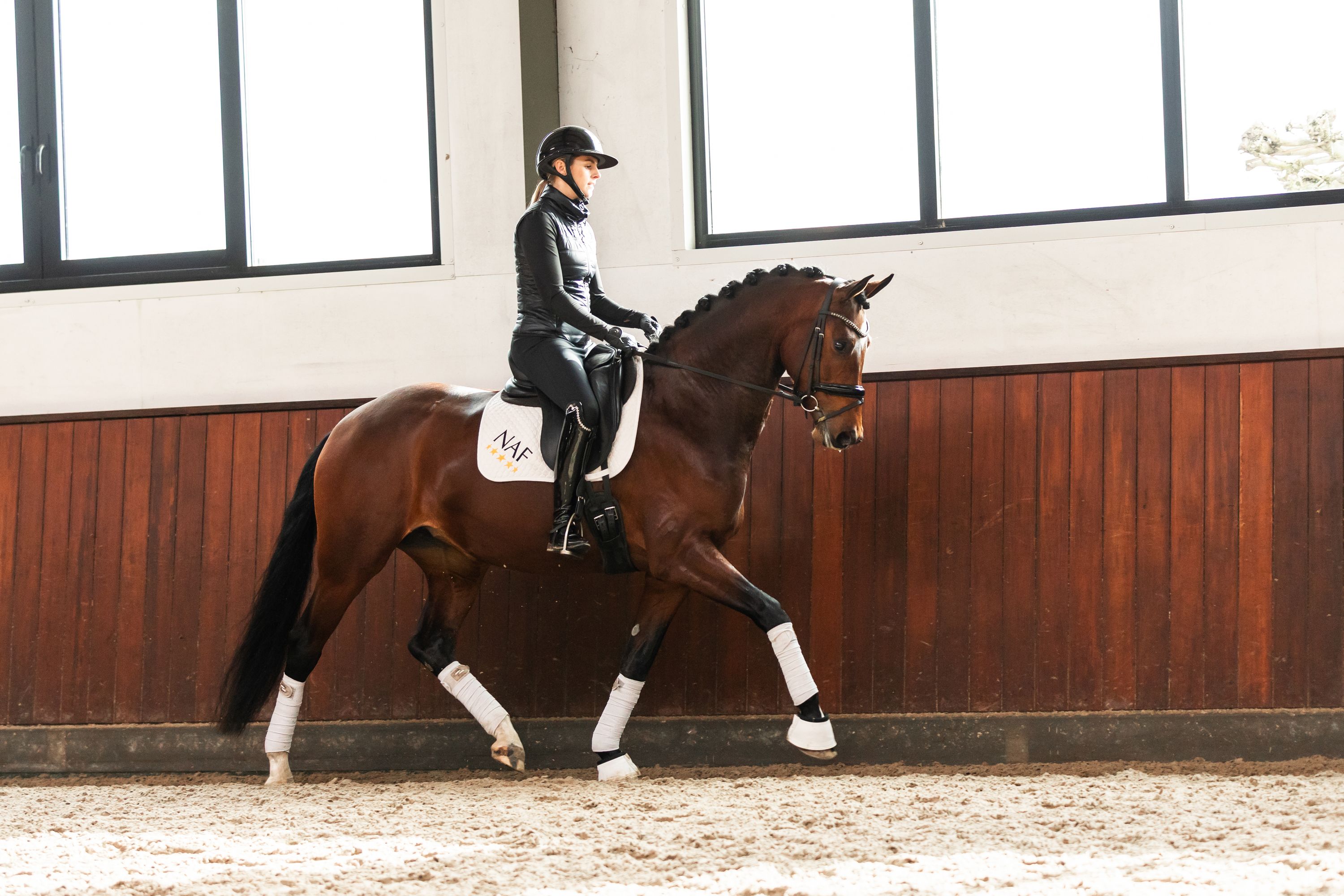 kwpn dressuurpaard merrie 4 years old bruin for sale - Photo 4