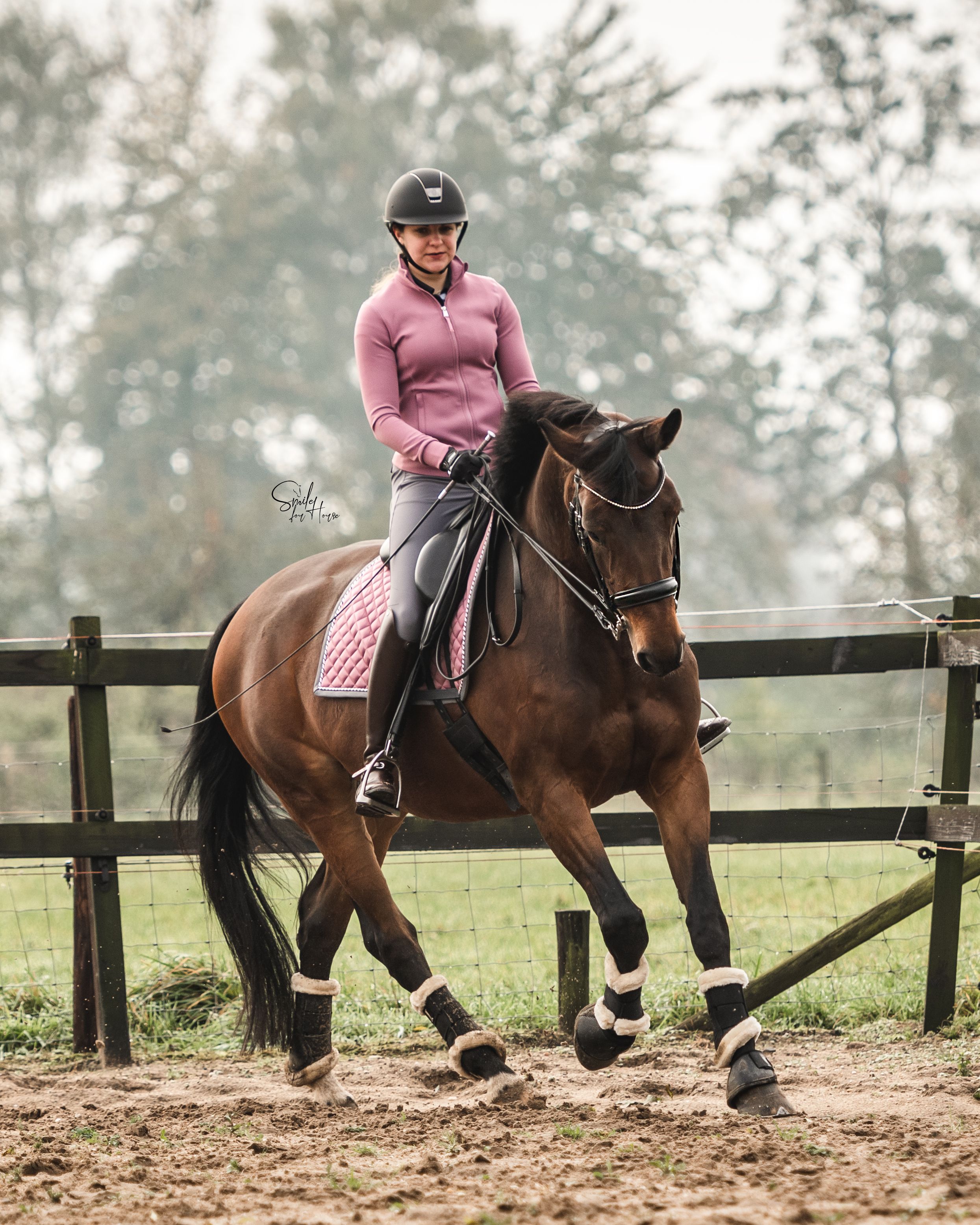 kwpn dressuurpaard merrie 18 years old bruin for sale - Photo 5