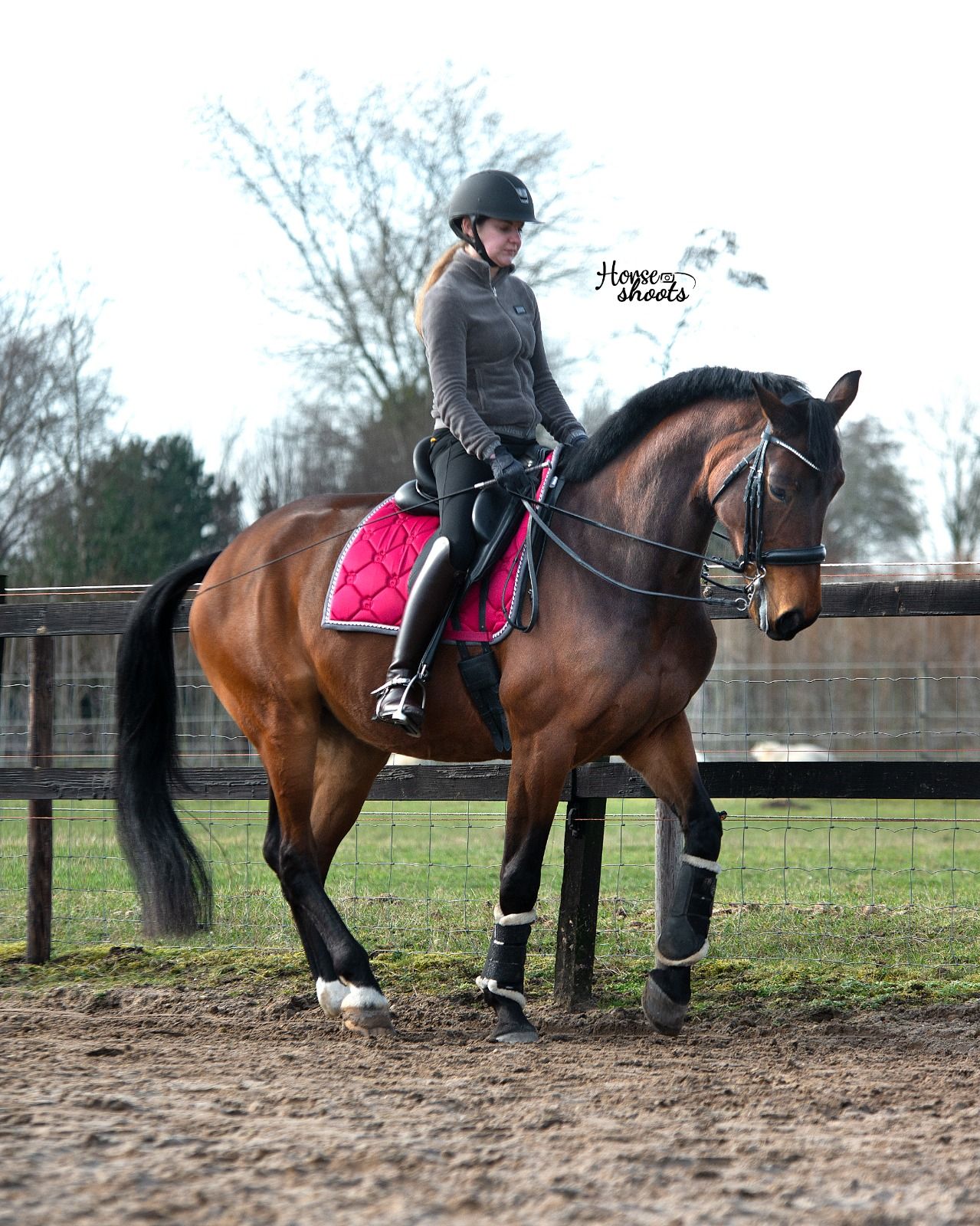 kwpn dressuurpaard merrie 18 years old bruin for sale - Photo 4