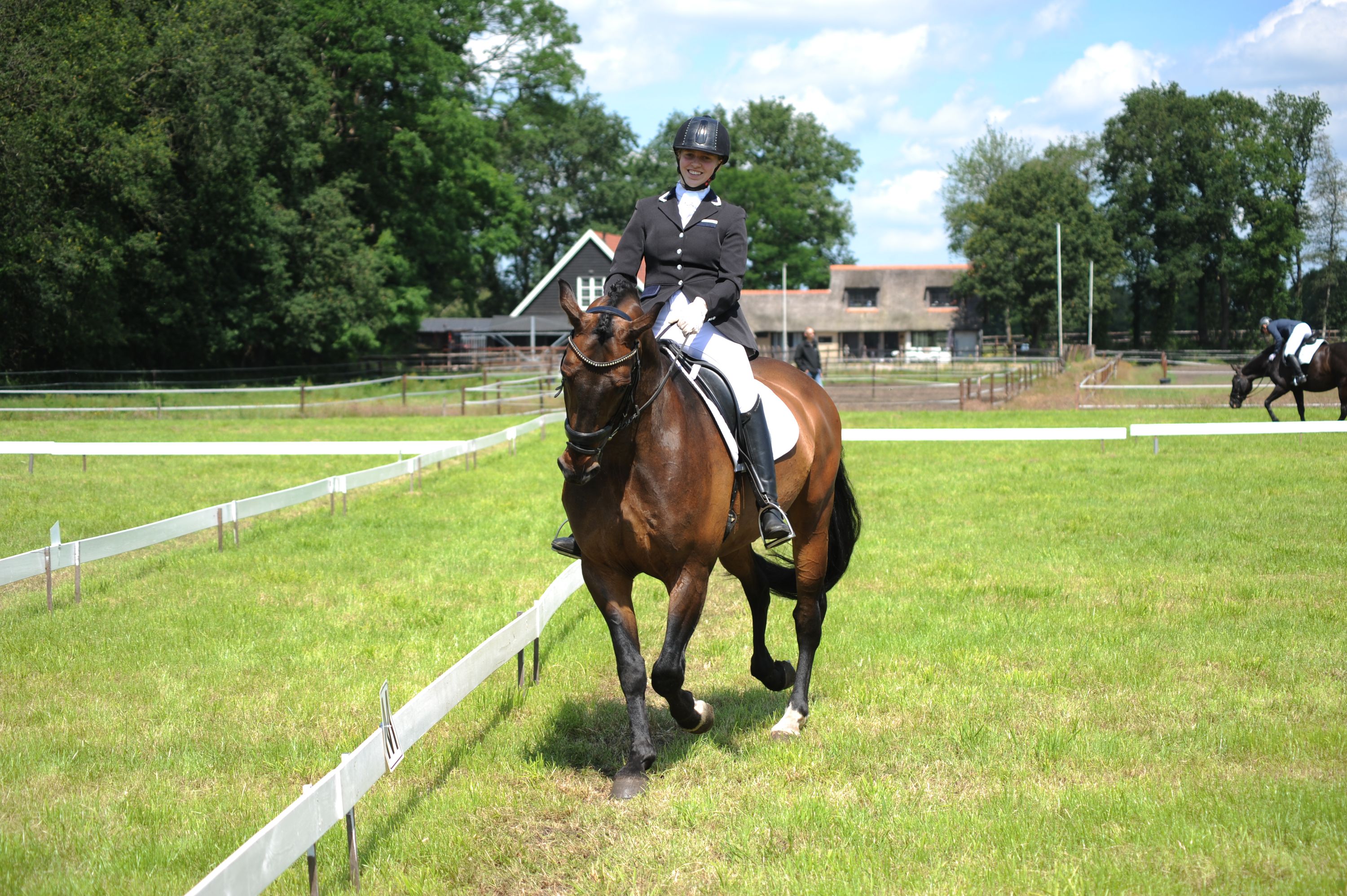 kwpn dressuurpaard ruin 19 years old bruin for sale - Photo 4