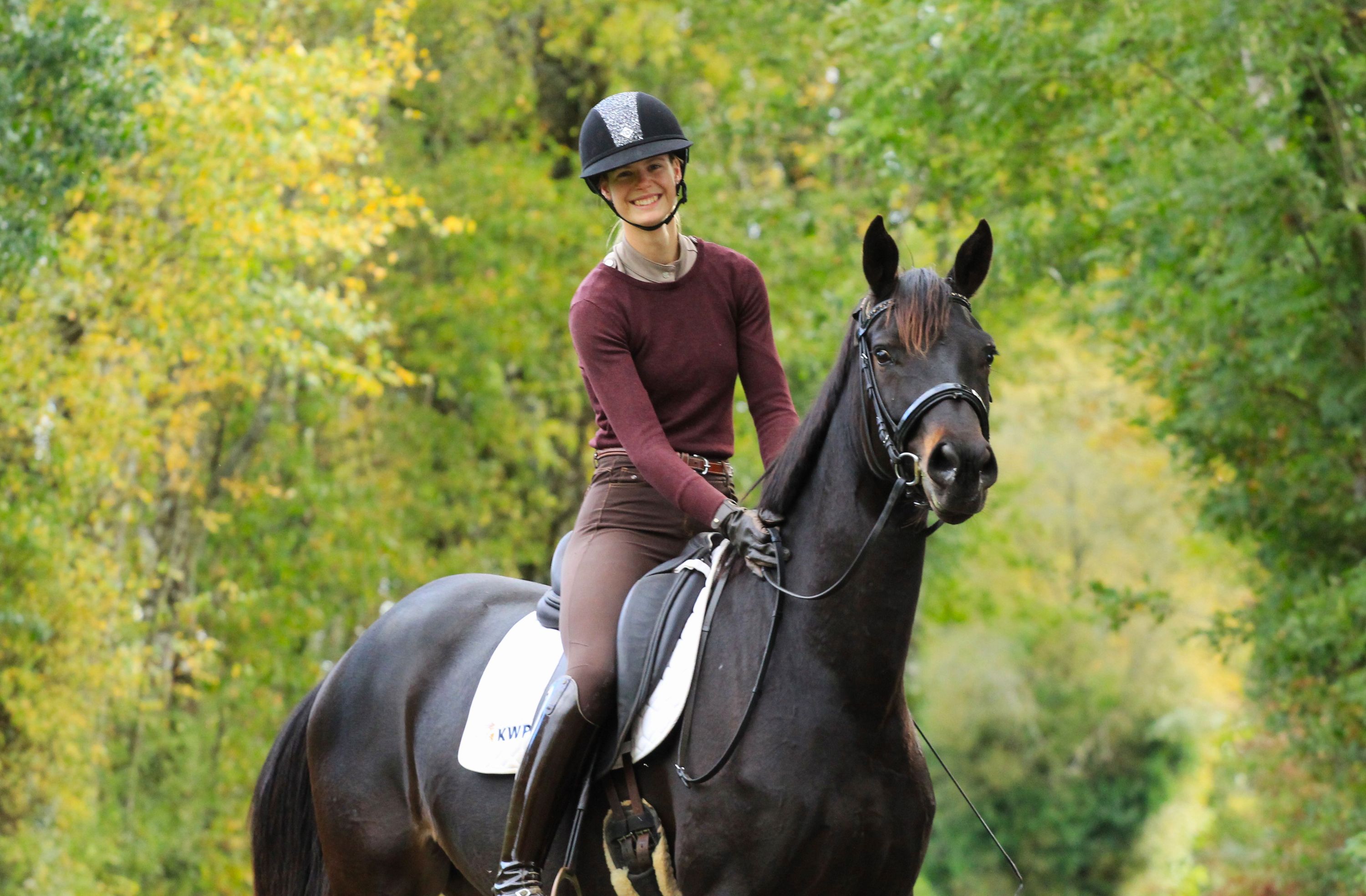 kwpn dressuurpaard merrie 9 years old zwart for sale - Photo 6