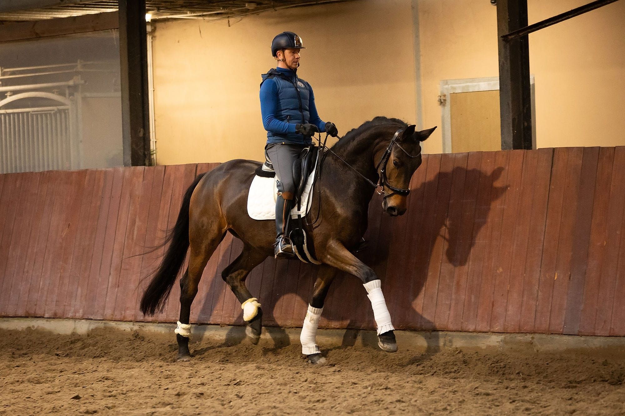 hannoveraan dressuurpaard merrie 5 years old bruin for sale - Photo 3