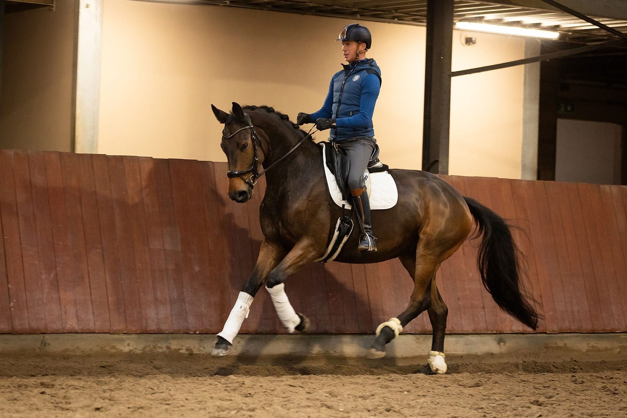 hannoveraan dressuurpaard merrie 5 years old bruin for sale - Photo 4
