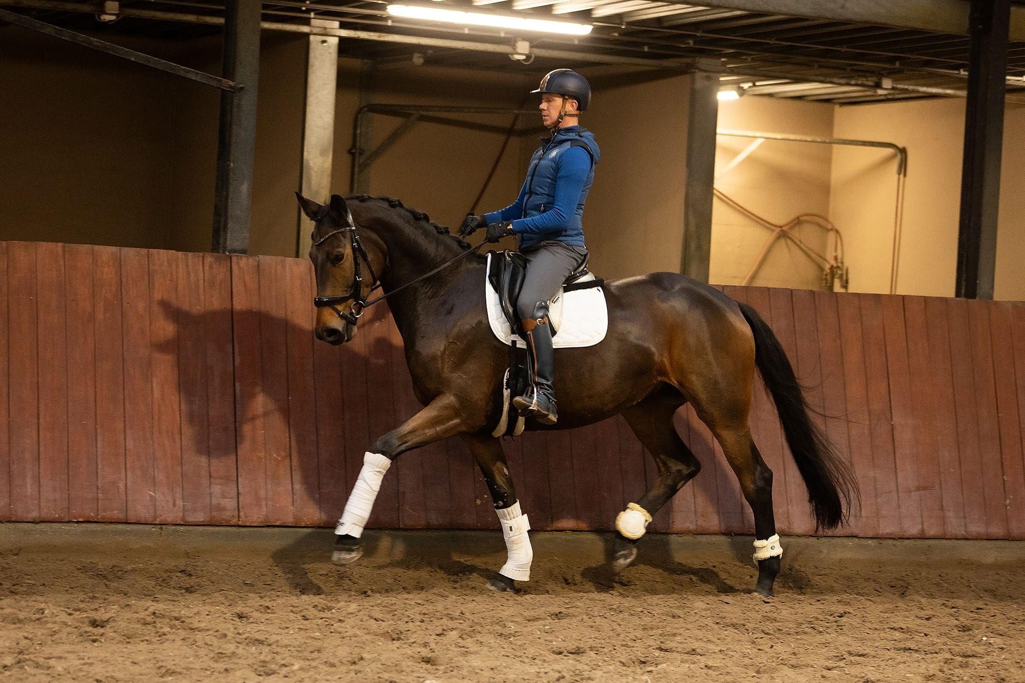 hannoveraan dressuurpaard merrie 5 years old bruin for sale - Photo 5