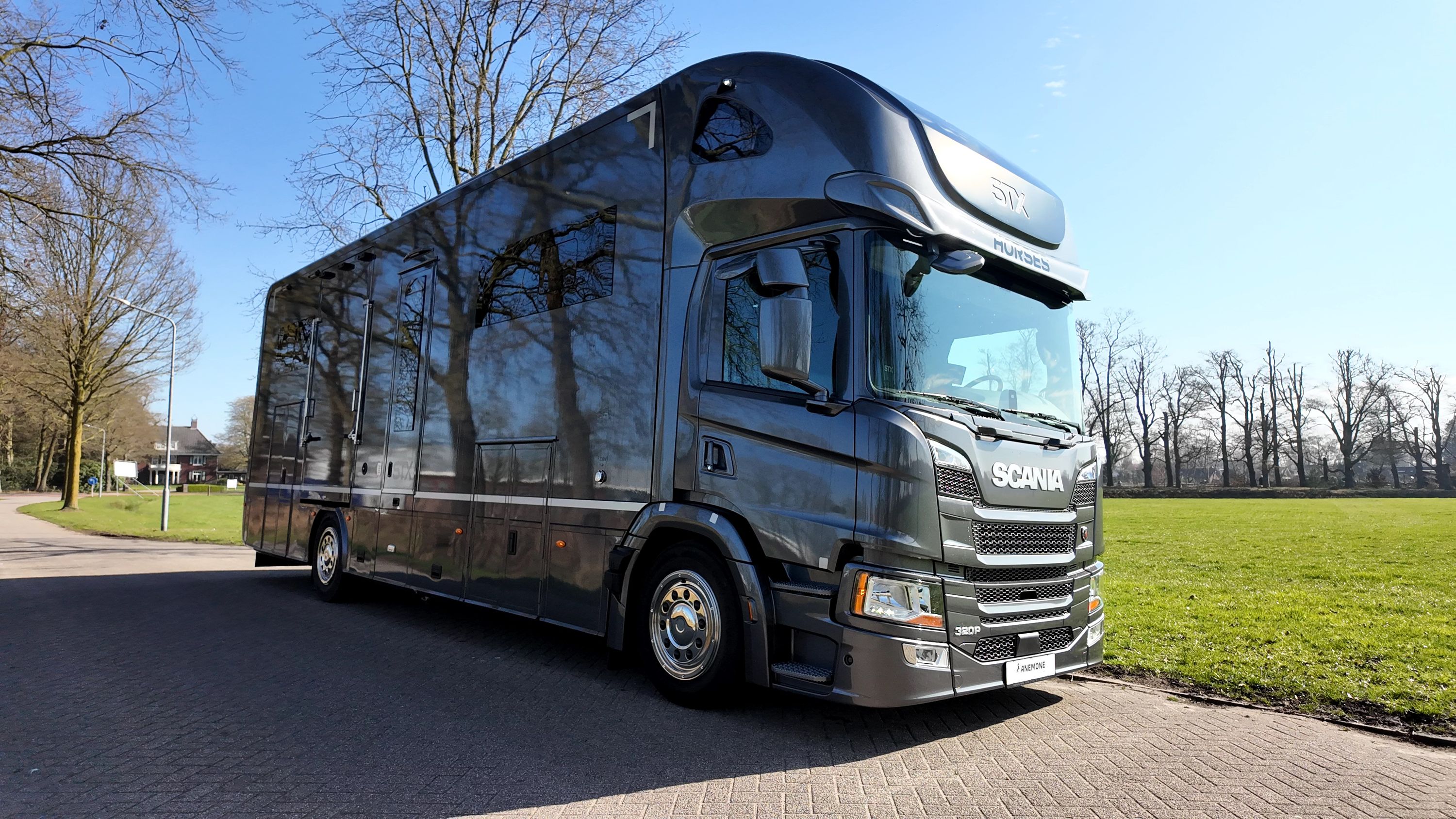 Ny Scania P320 5-hästars + luxury living Anemone (id:7)