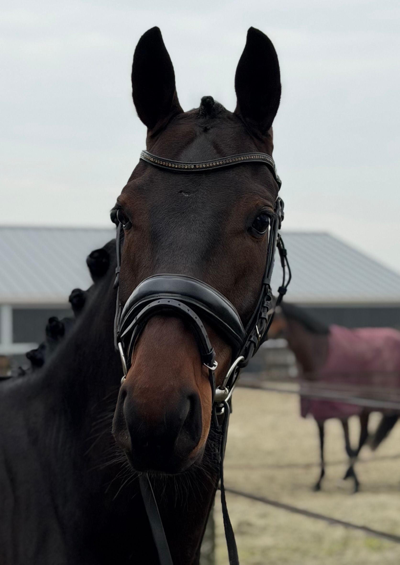 4-jarige lieve ruin