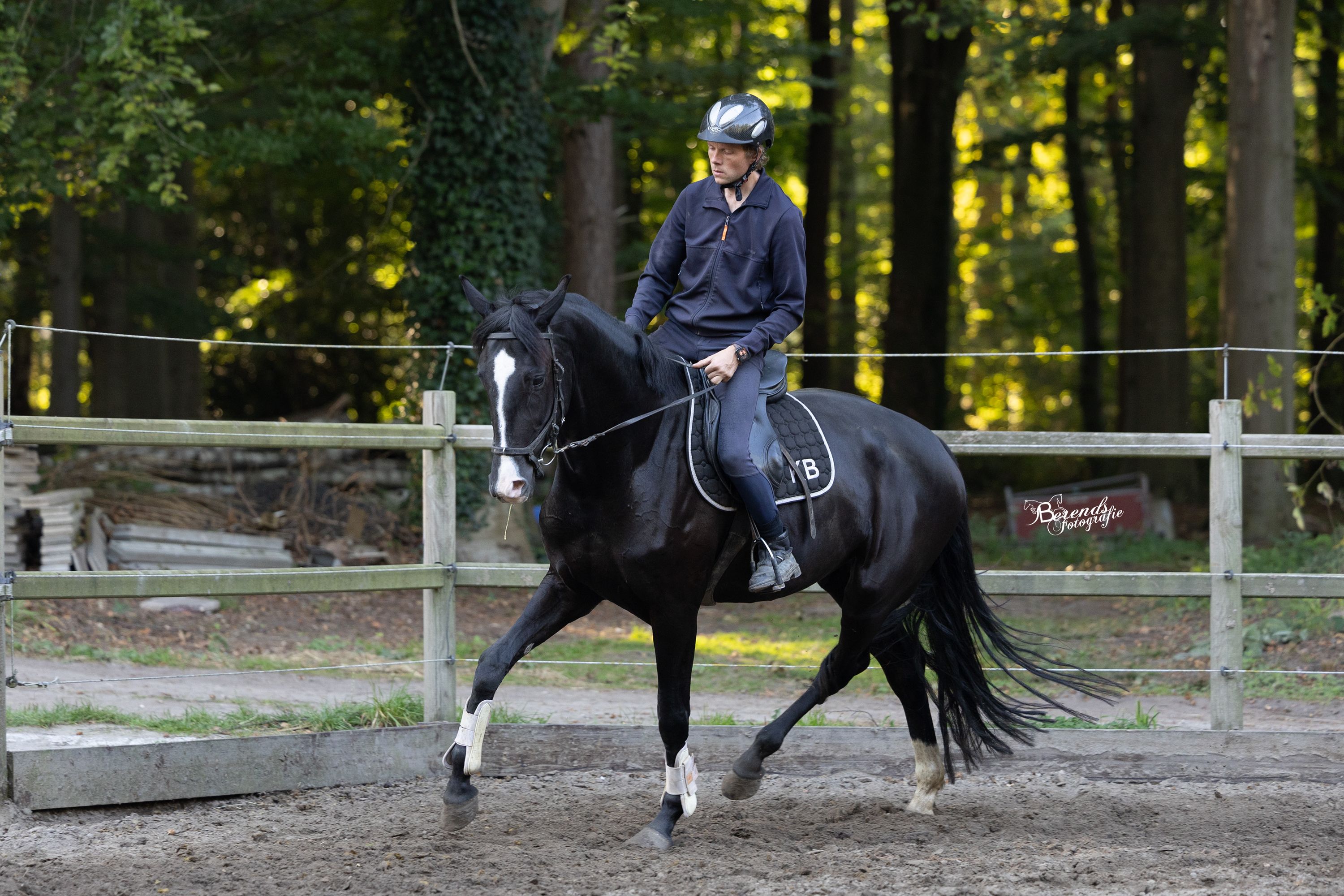 KWPN dressuurpaard Merrie 5 jaar zwart te koop - Foto 2