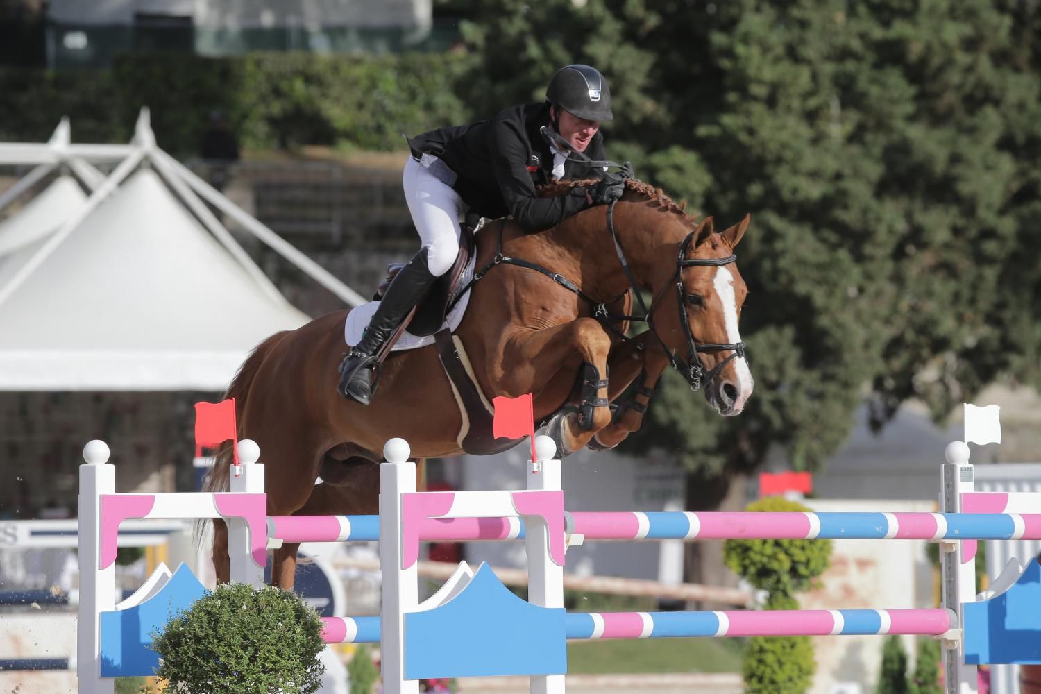 Arezzo 'Preferent'