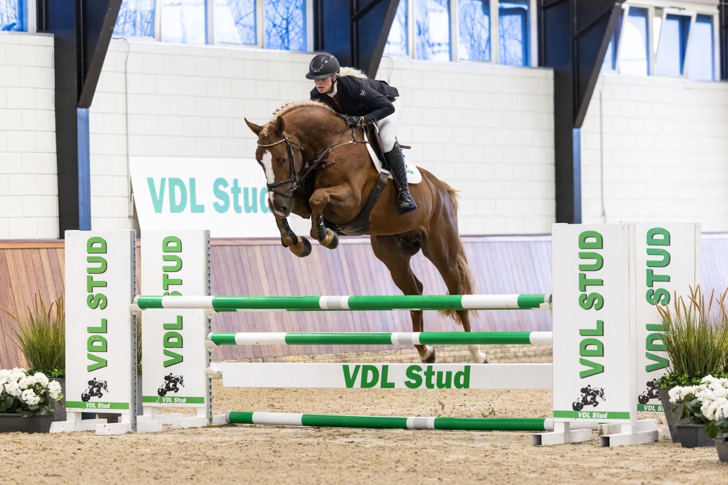 ["nrps"] ["springen"] vos for sale - Photo 2