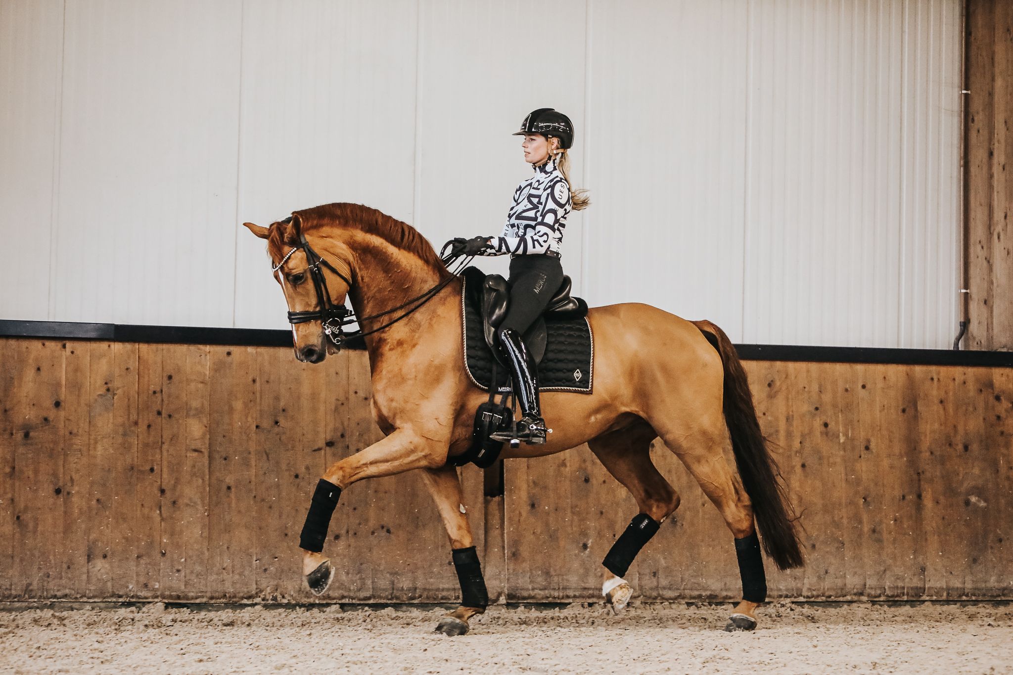 kwpn dressuurpaard ruin 13 years old vos for sale - Photo 2