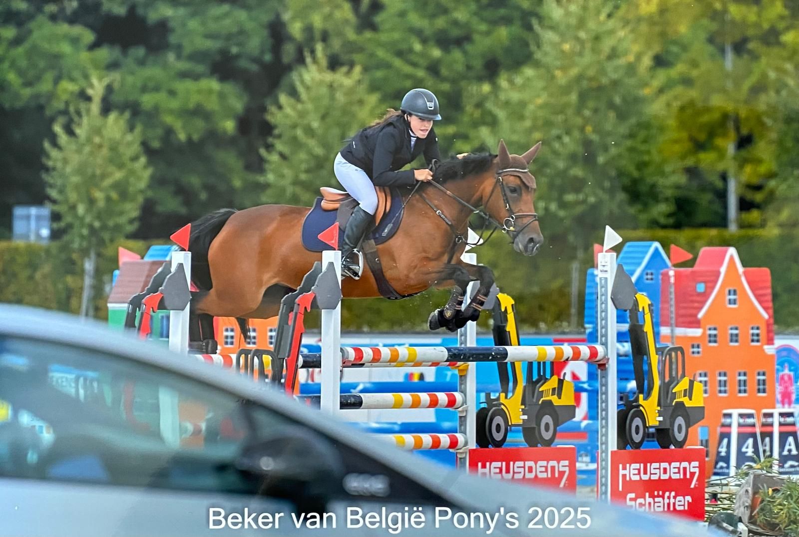 Superbe ponette D de 1m20