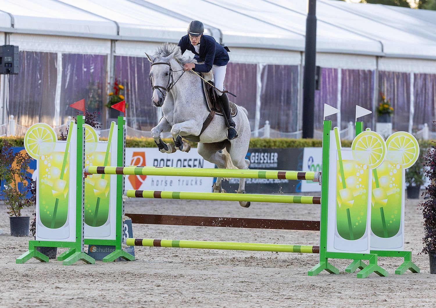 Breeding mare by Clarimo, dam of 1m40 jumper, in foal to * Ecclestone *
