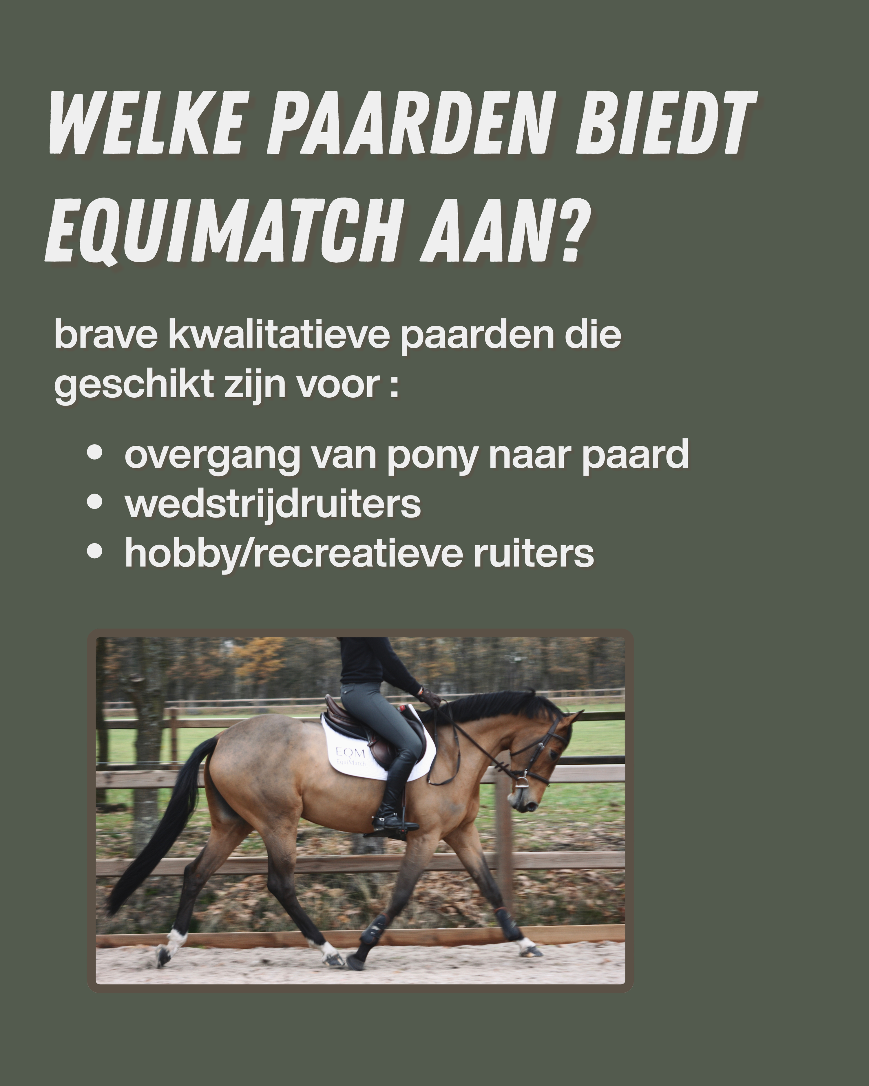 springpaard merrie 6 years old for sale - Photo 2