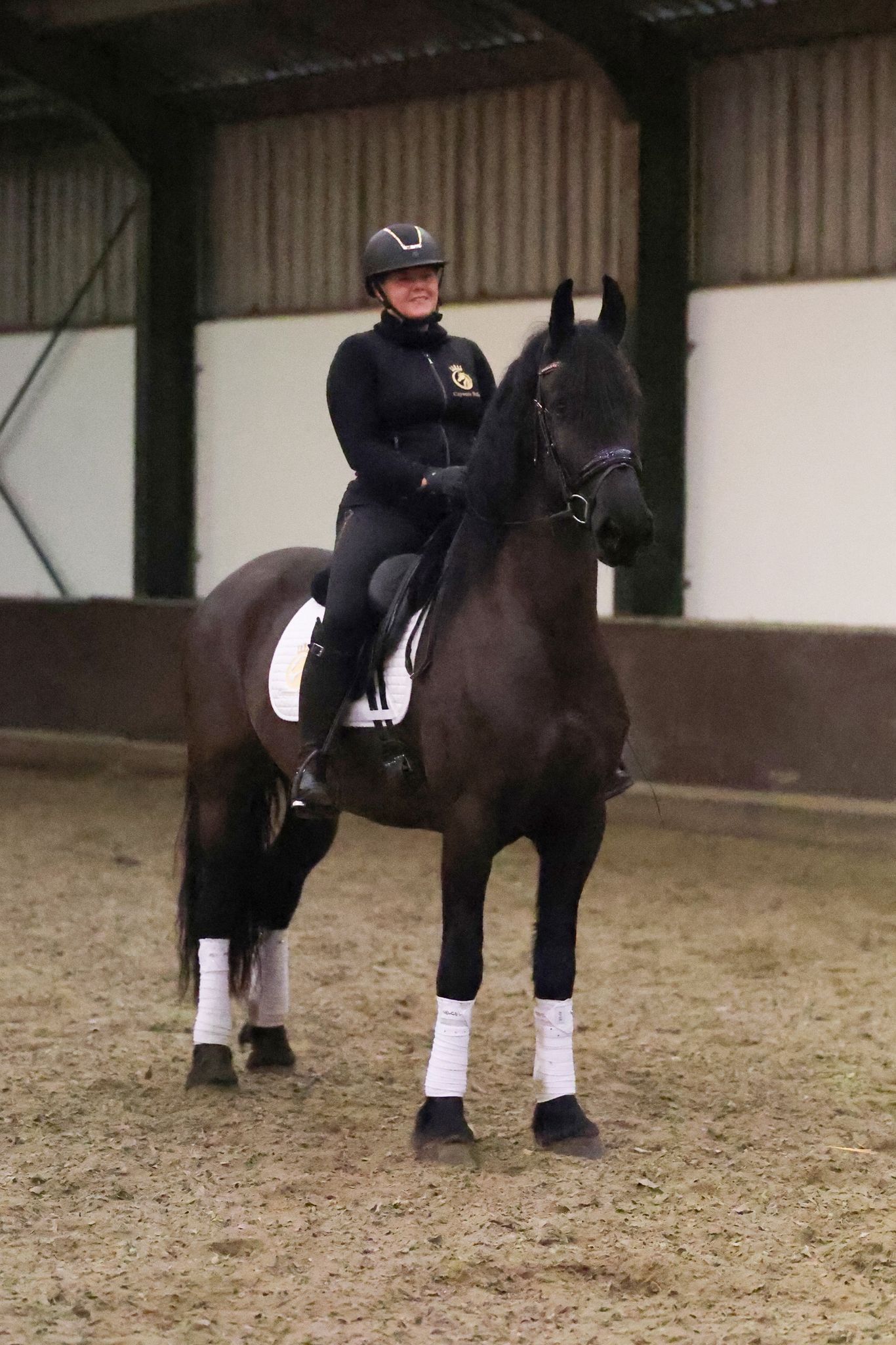 ander allrounder merrie 7 years old zwart for sale - Photo 2