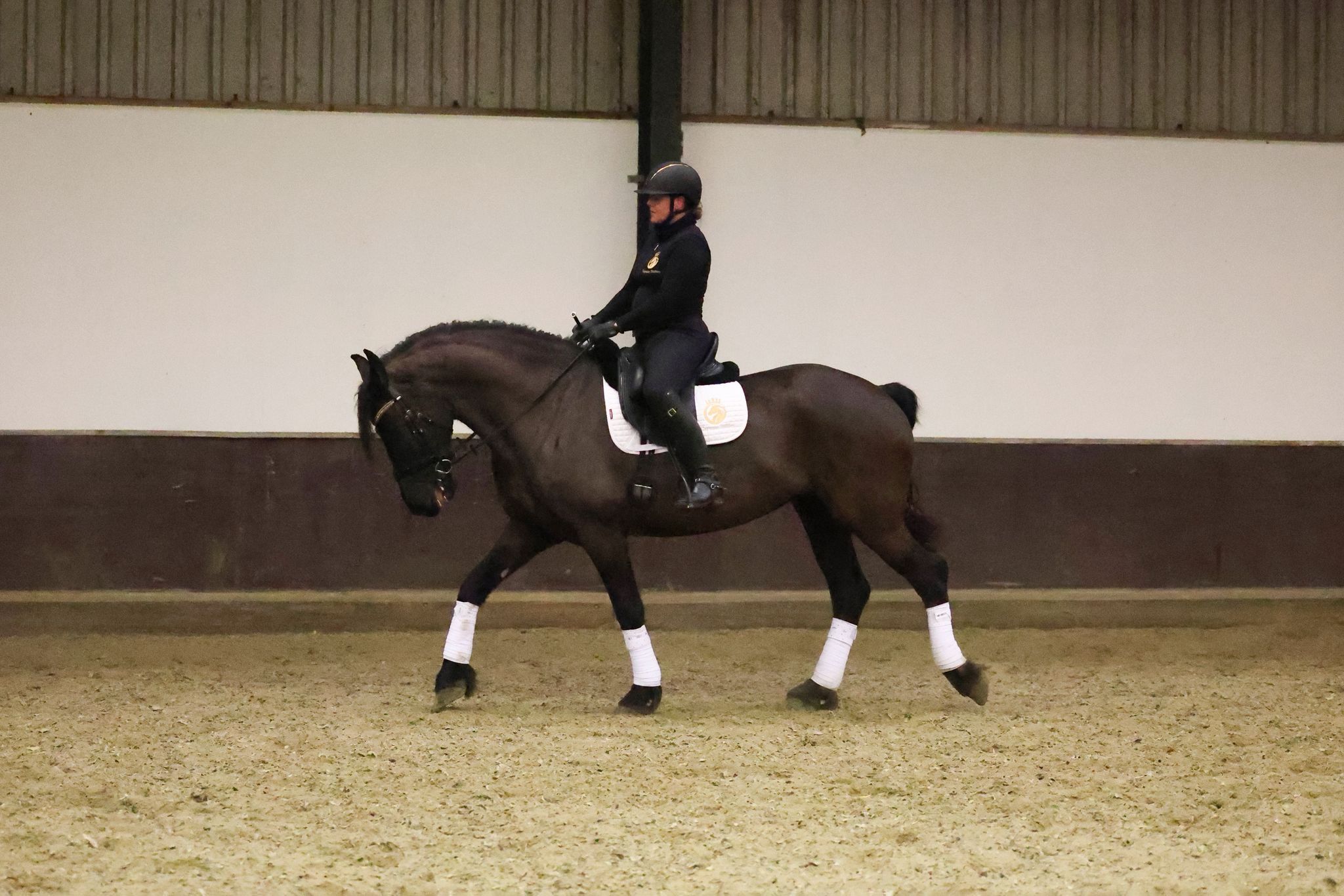 ander allrounder merrie 7 years old zwart for sale - Photo 3