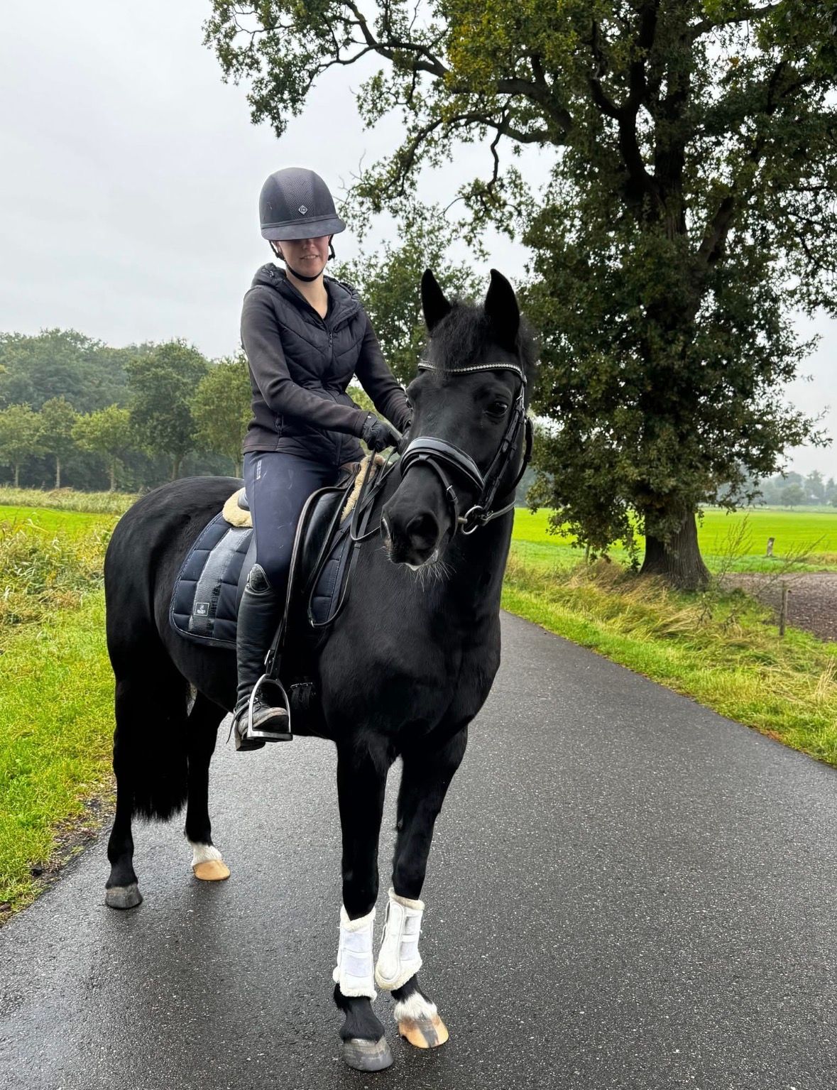 nrps allround-pony merrie 10 歳 zwart 売り出し中 - 写真 2