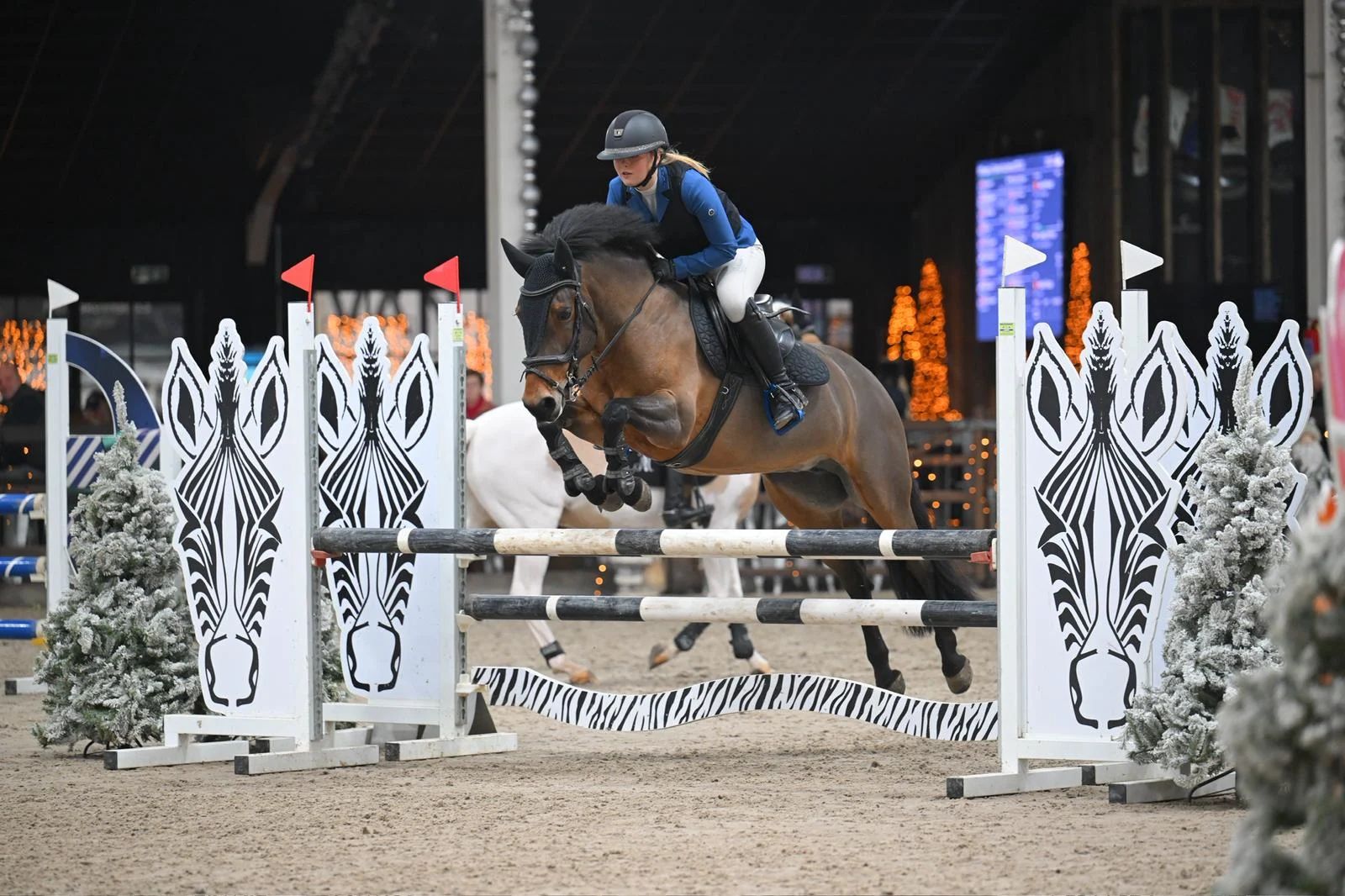 Reliable D-sport pony