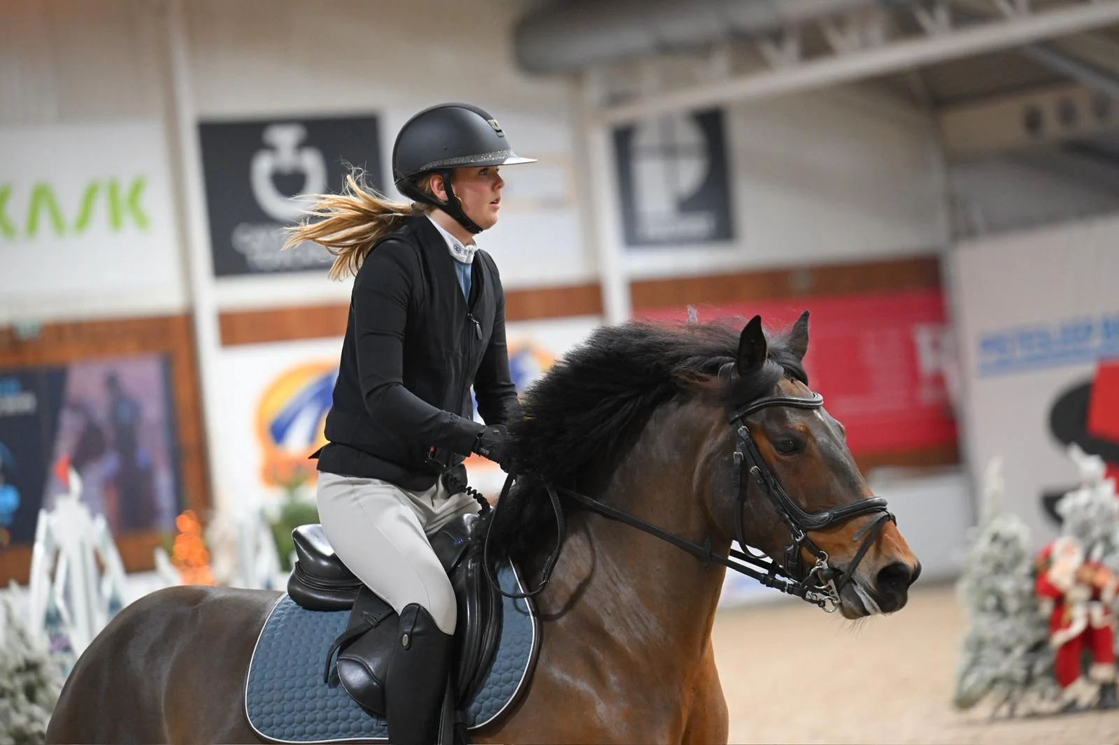 allround-pony merrie 8 years old bruin for sale - Photo 5