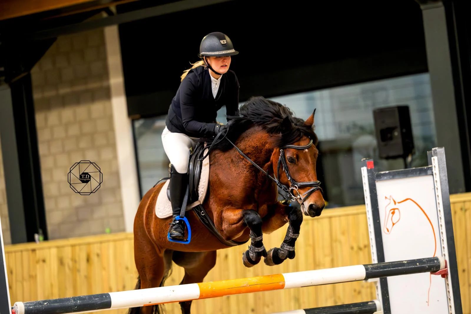 allround-pony merrie 8 years old bruin for sale - Photo 2