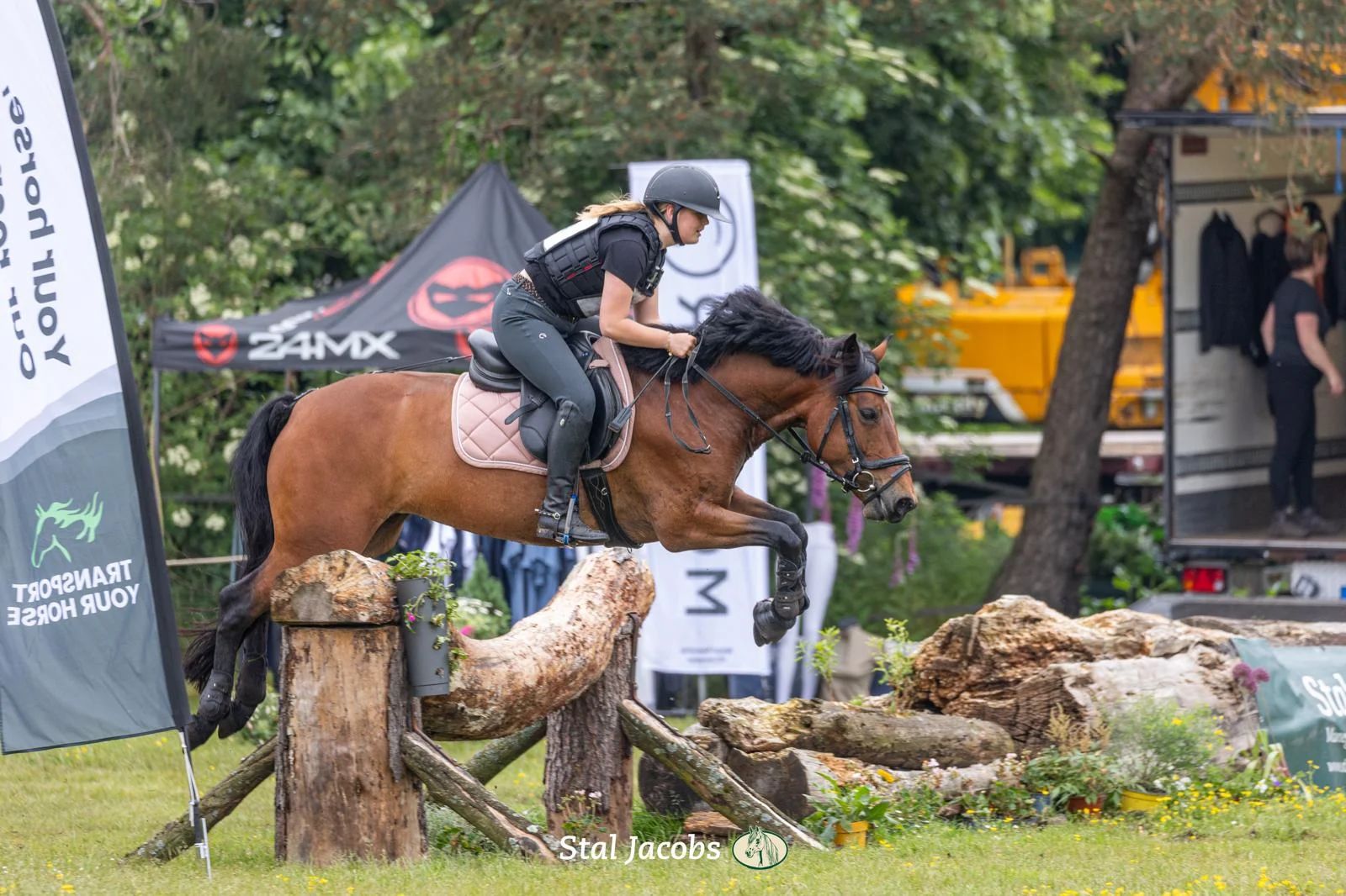 allround-pony merrie 8 years old bruin for sale - Photo 4