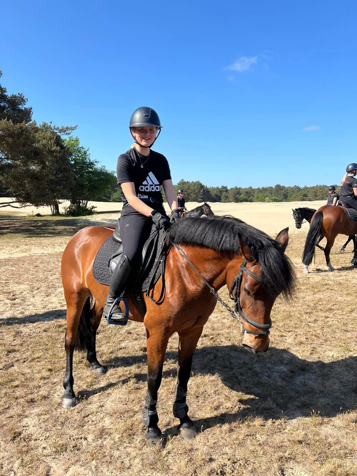 allround-pony merrie 8 years old bruin for sale - Photo 3