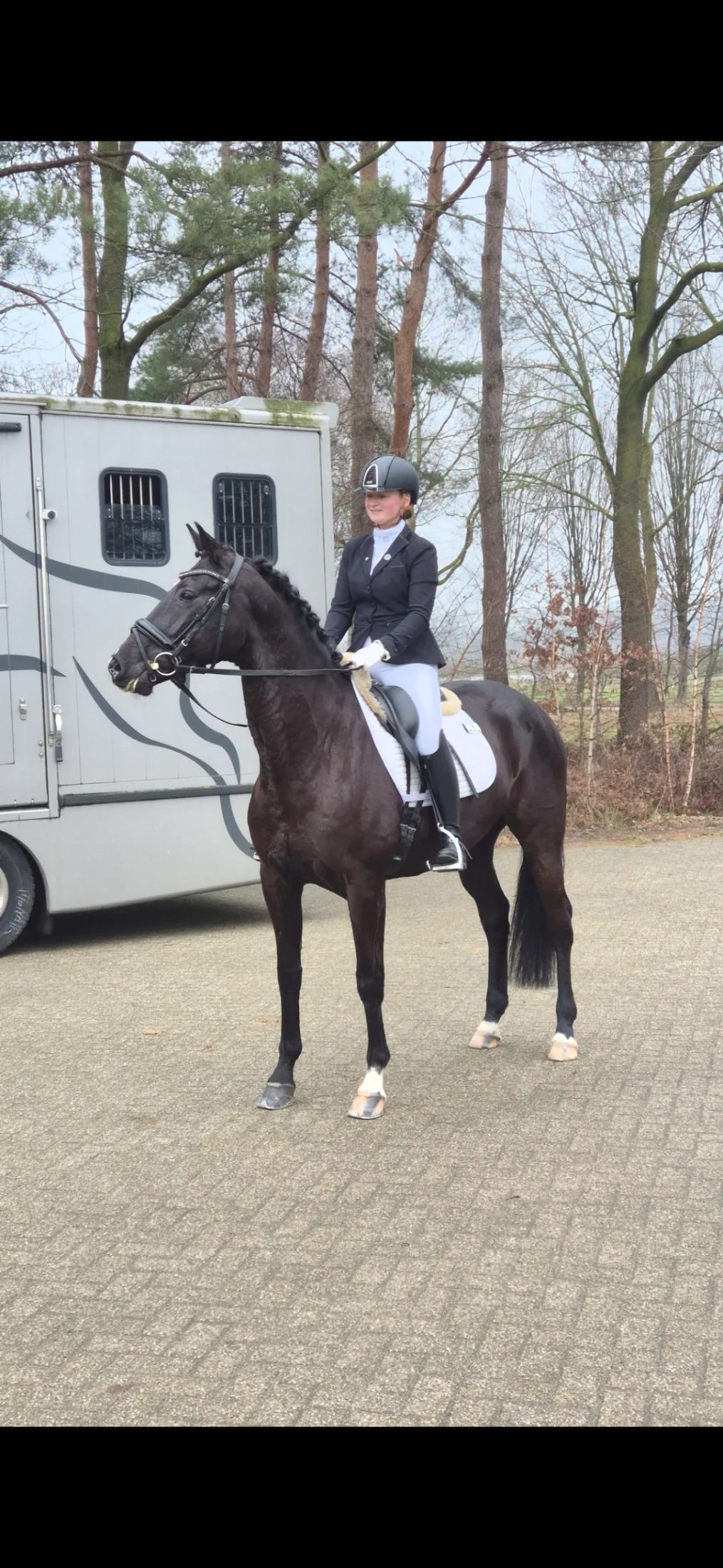 Quality mare