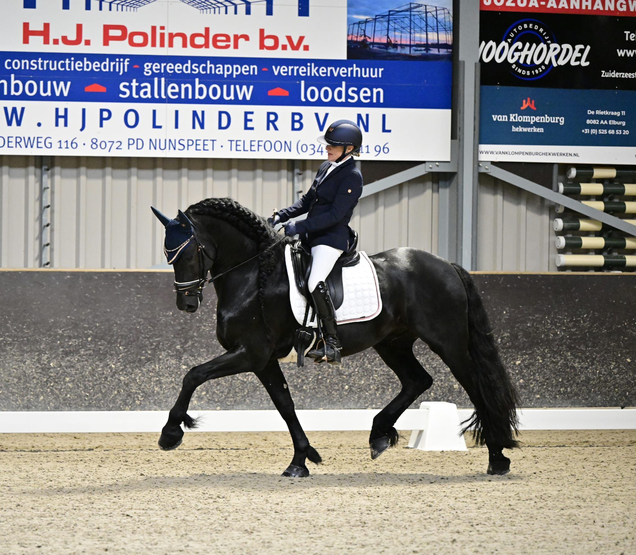 freiberger dressuurpaard hengst 8 jaar zwart te koop - Foto 6